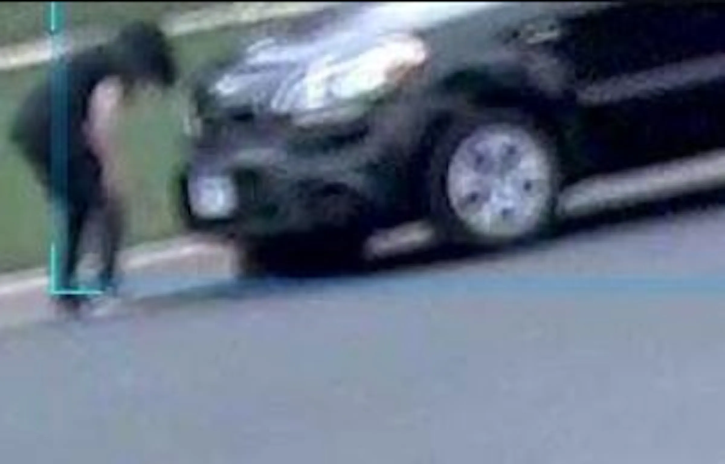 Bloomington police looking for driver who purposely ran over cat and ...