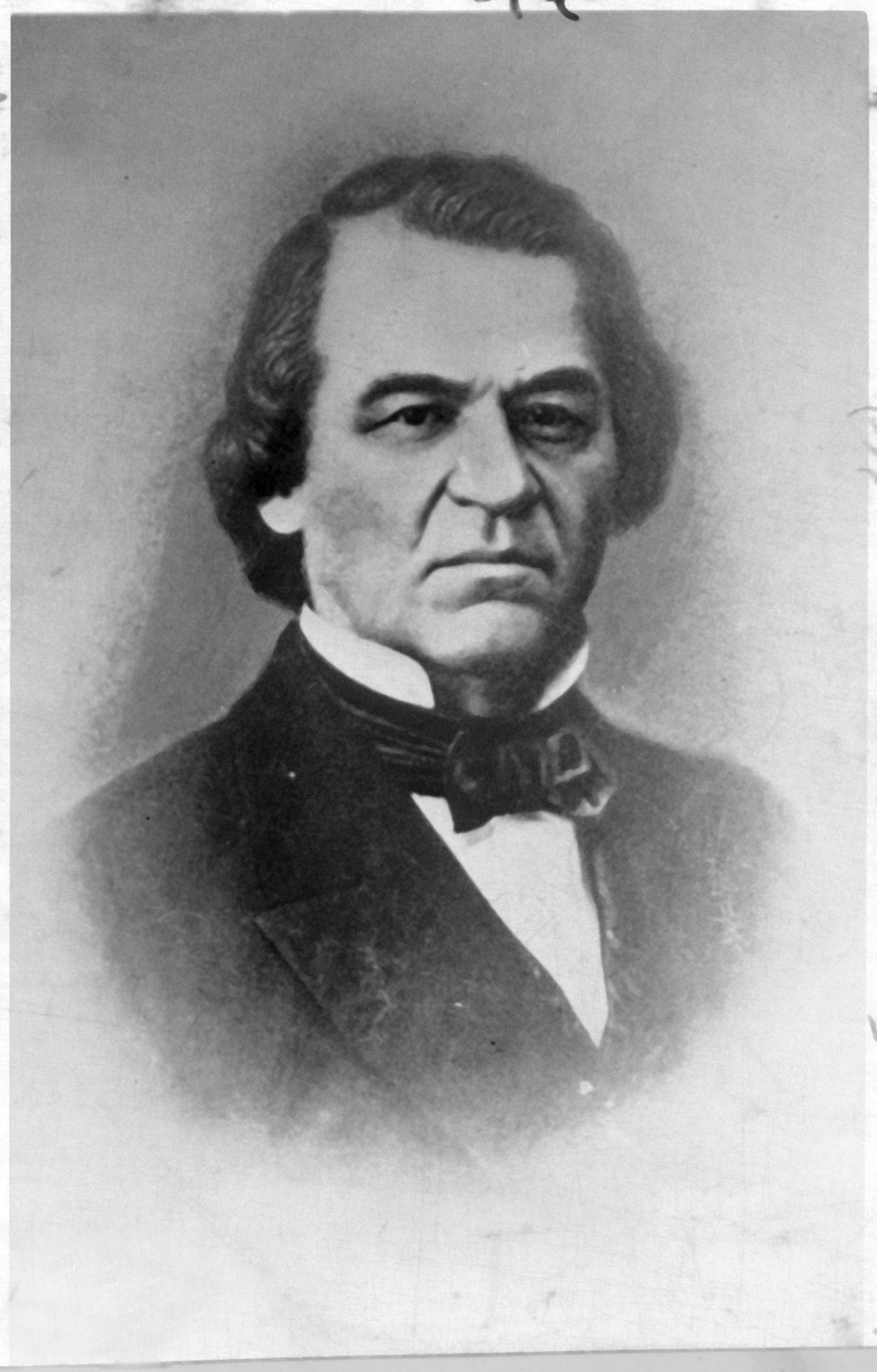 PRESIDENT ANDREW JOHNSON .