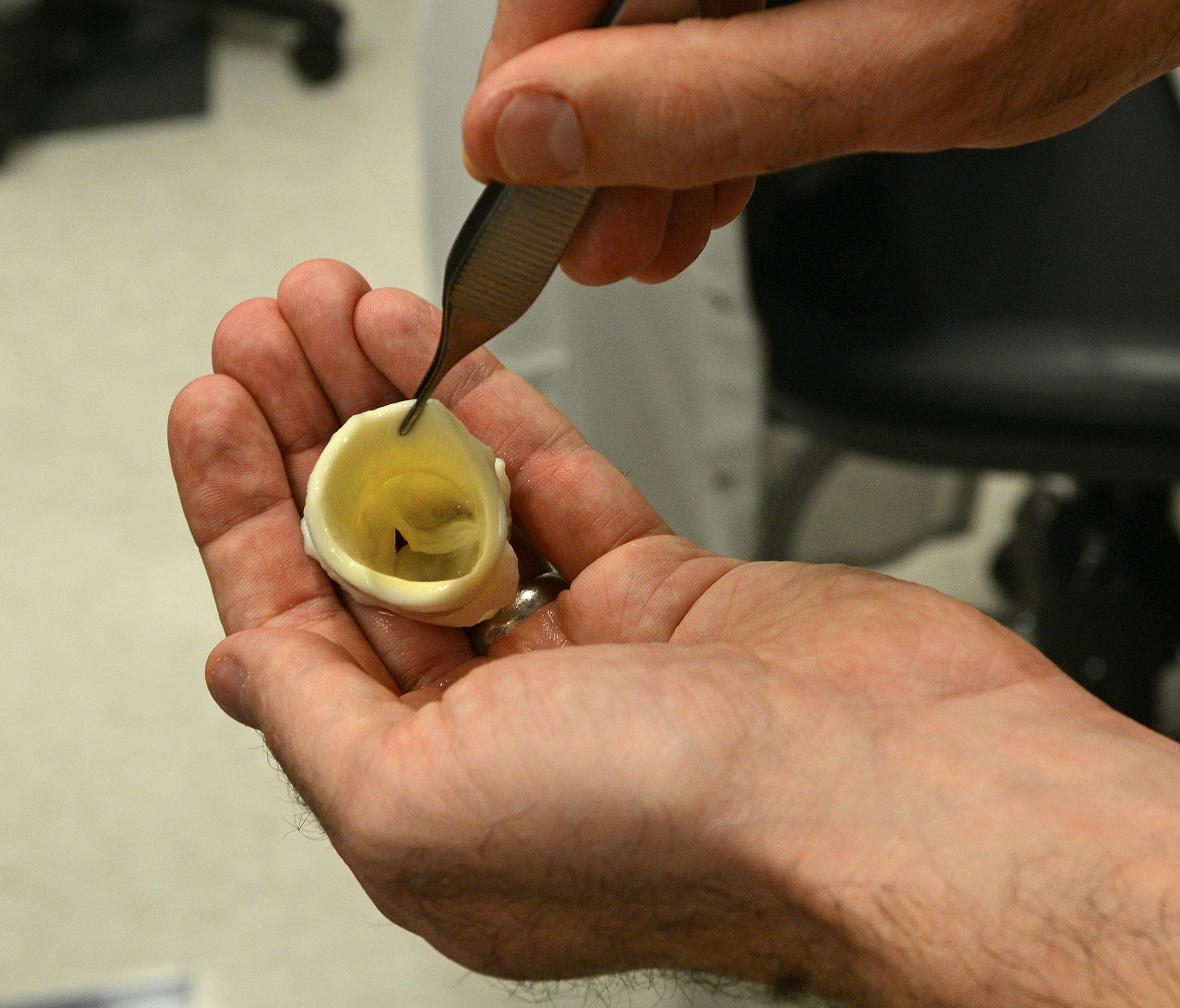 Physicians and researchers at the Mayo Clinic in Rochester say they see the future of medicine: a smorgasbord of technology that can be used to tap the body's innate ability to heal itself. Dr Daniel Spoon is working with a bioreactor and a bioprinter with which he hopes to print heart valves. Dr Daniel Spoon holds some pig heart valves] Richard.Sennott@startribune.com Richard Sennott/Star Tribune Rochester Minnesota Wednesday 6/5/13) ** (cq)