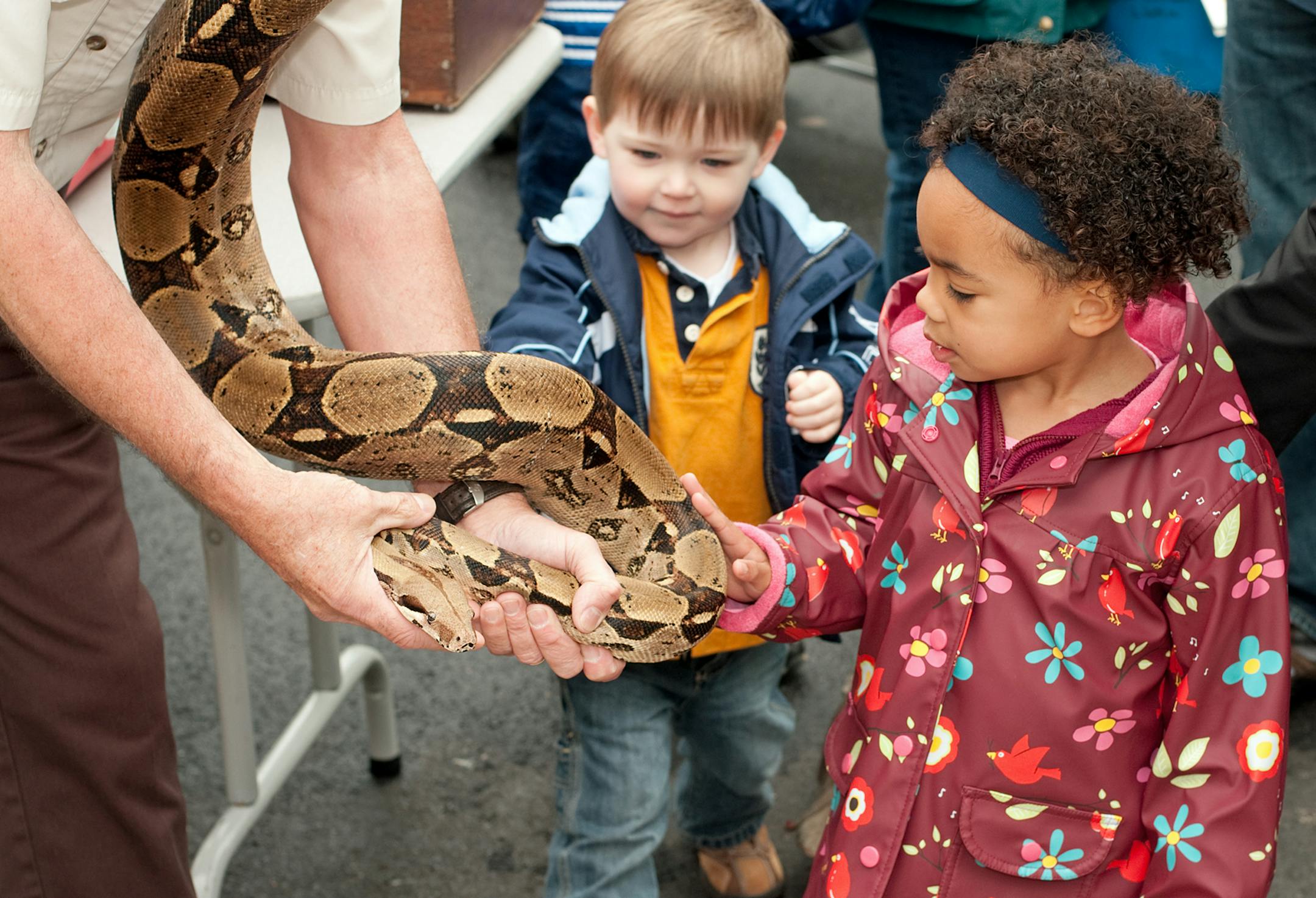 Fall Family Festival at St. David's Center in Minnetonka