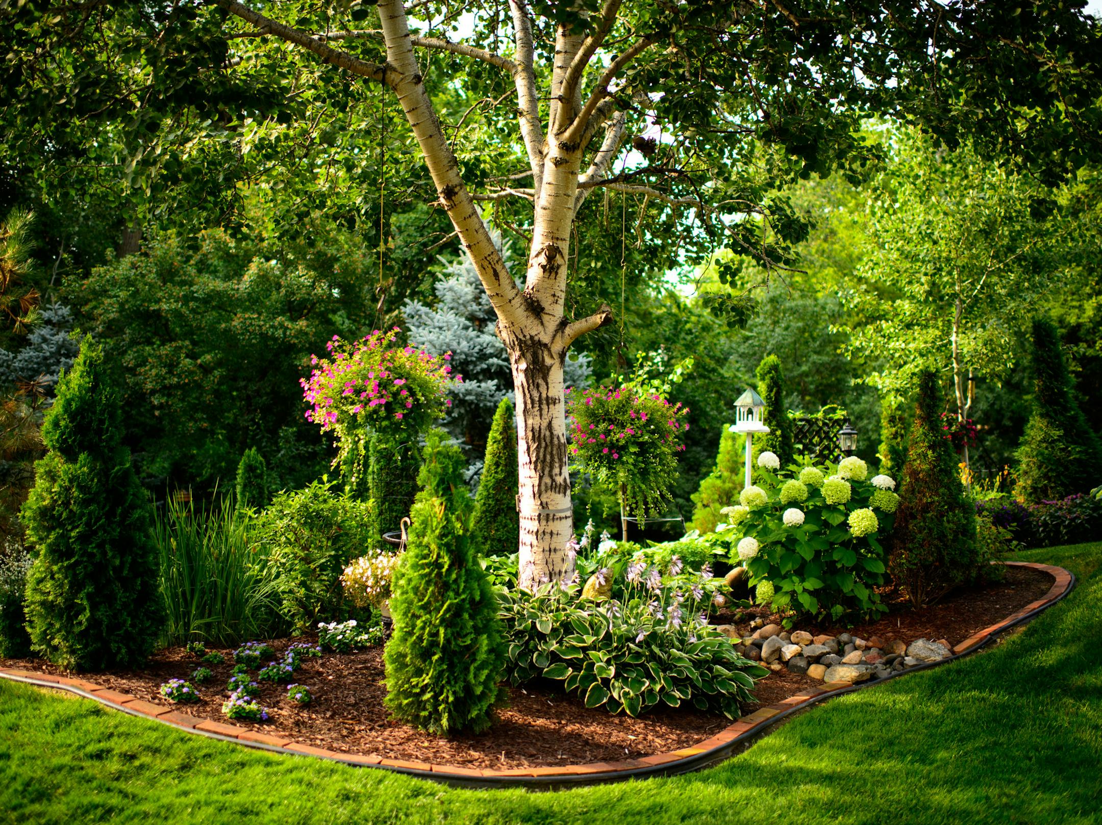 Retired science teacher Deb Dunn-Silis shares her well-manicured Lakeville gardens and knowledge with students and neighbor kids. Deb Dunn Silis gives us a tour of her gardens - include a pond, bridge and sunny and shade beds. ] Monday, August 4, 2014. GLEN STUBBE * gstubbe@startribune.com