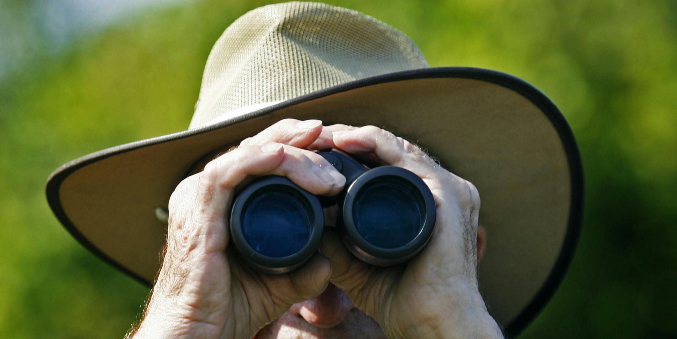 DAVID JOLES ¬• djoles@startribune.com Lino Lakes, MN - Aug. 11, 2009-] Bob Holtz, 76, has been a bird enthusiast since he was 6. He has been to six continents and seen nearly 500 species of birds. The retired Concordia College professor is the star of "Birding With Bob" -- a series of podcasts that examines birds in Anoka County. Here, Bob was out in the field at Wargo Nature Center, checking bluebird boxes and keeping an eye out for winged creatures. ORG XMIT: MIN2013040517115446