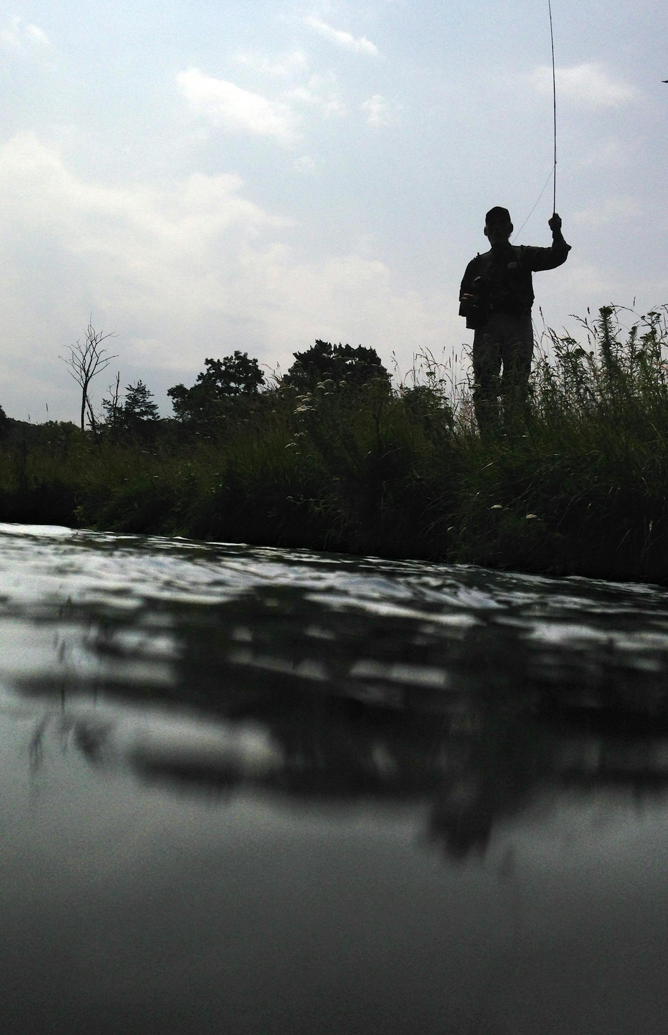 National Trout Center program coordinator Rich Enochs fly fishes in Trout Run Creek near Bucksnort Park in Fillmore County in Southeast Minnesota July 10, 2014. (Courtney Perry/Special to the Star Tribune)