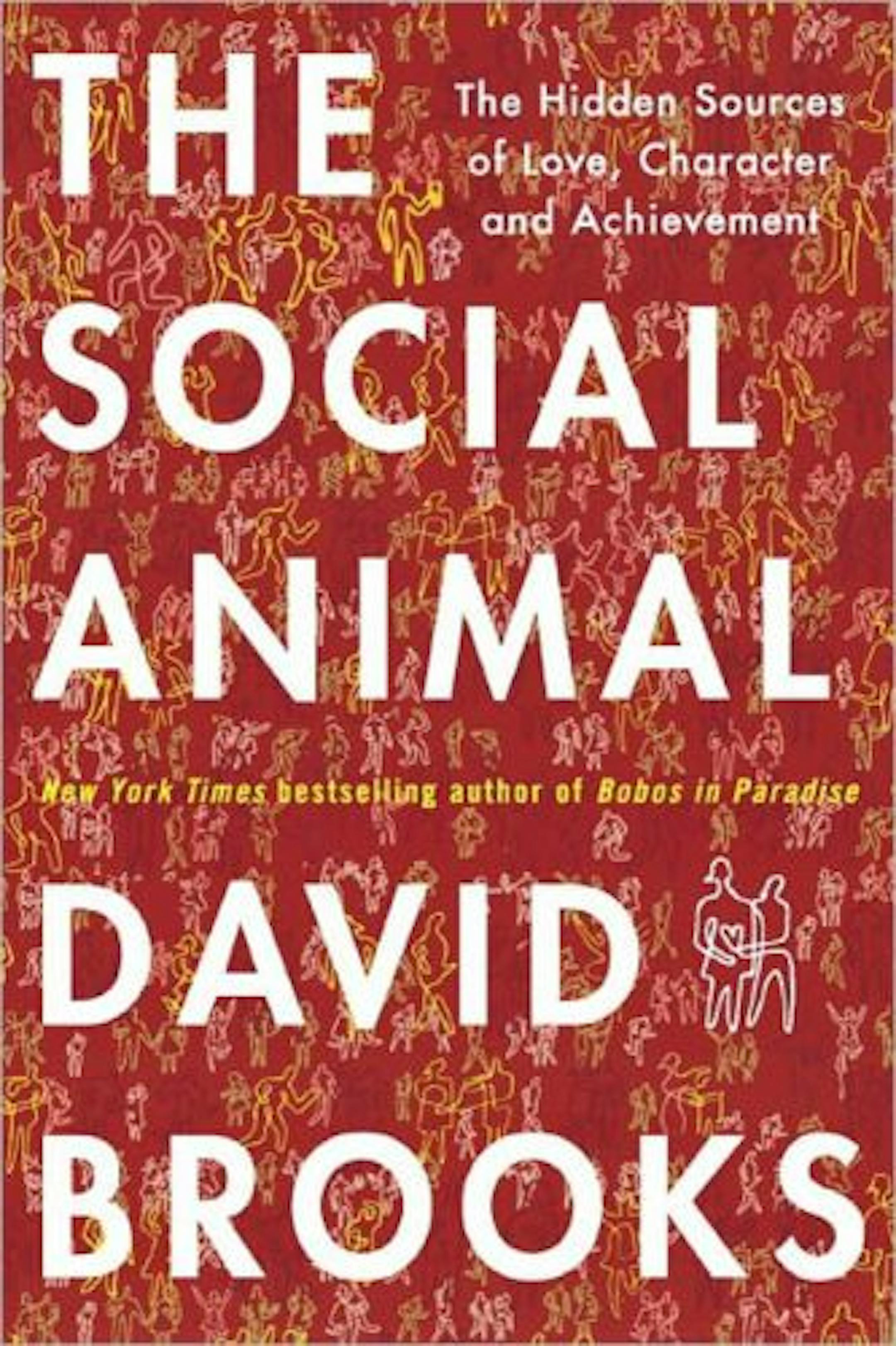 The Social Animal by David Brooks