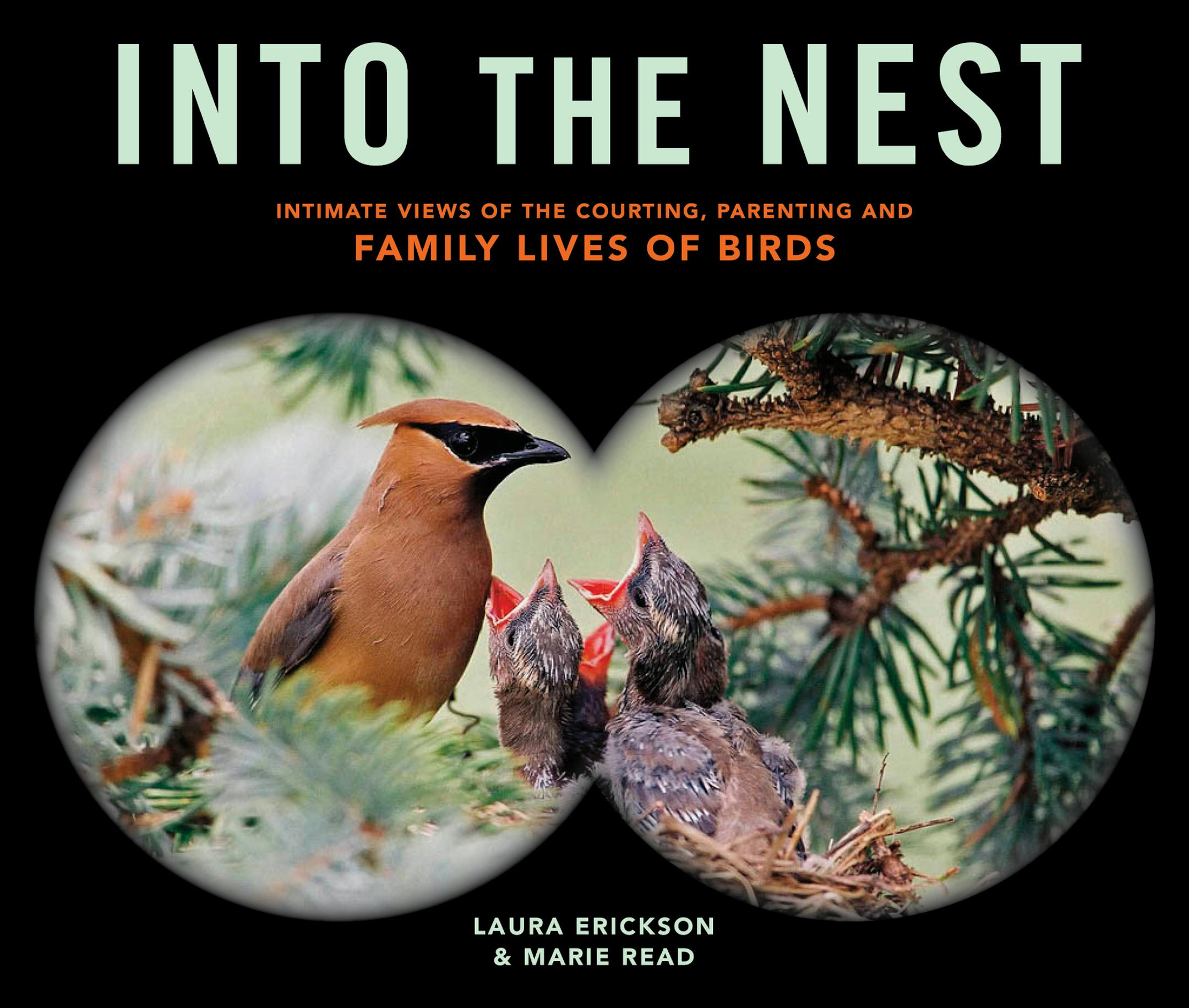 "Into the Nest: Intimate Views of the Courting, Parenting, and Family Lives of Birds" By Laura Erickson and Marie Read, Storey Publishing