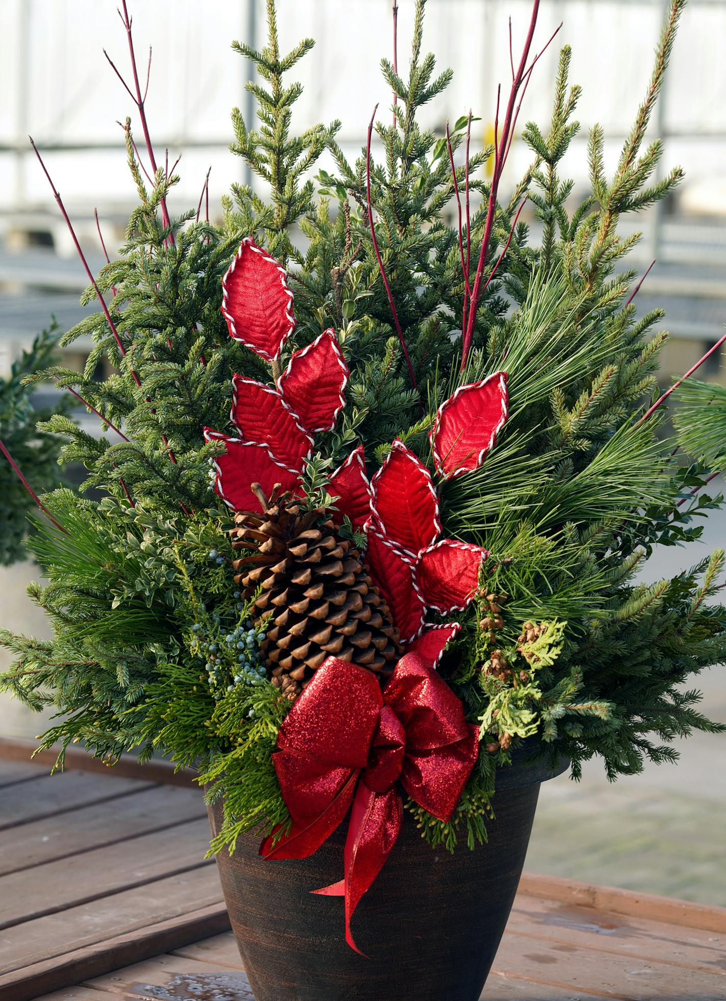 Custom holiday planter designed by Pahls designer Beth Rau. Ideas for creative winter and holiday spruce tip planters.
brian.peterson@startribune.com
Apple Valley, MN
Tuesday, November 5, 2019