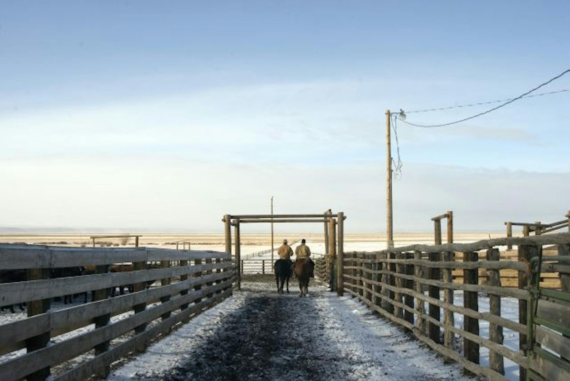 In this Dec. 22, 2009 photo, Roaring Springs Ranch manager Stacy Davies, left, and buckaroo Brandon Hoagland ride through corrals at Three Mile Creek near Frenchglen, Ore., after sorting cattle for shipment. Two springs ago, Davies pulled up to these same corrals to find that dozens of weaned calves were gone, rustled, with truck tracks half-stomped by the remaining cattle the only clue to what had happened. Out of pride and a reluctance to point a finger at neighbors, ranchers in the vast Great
