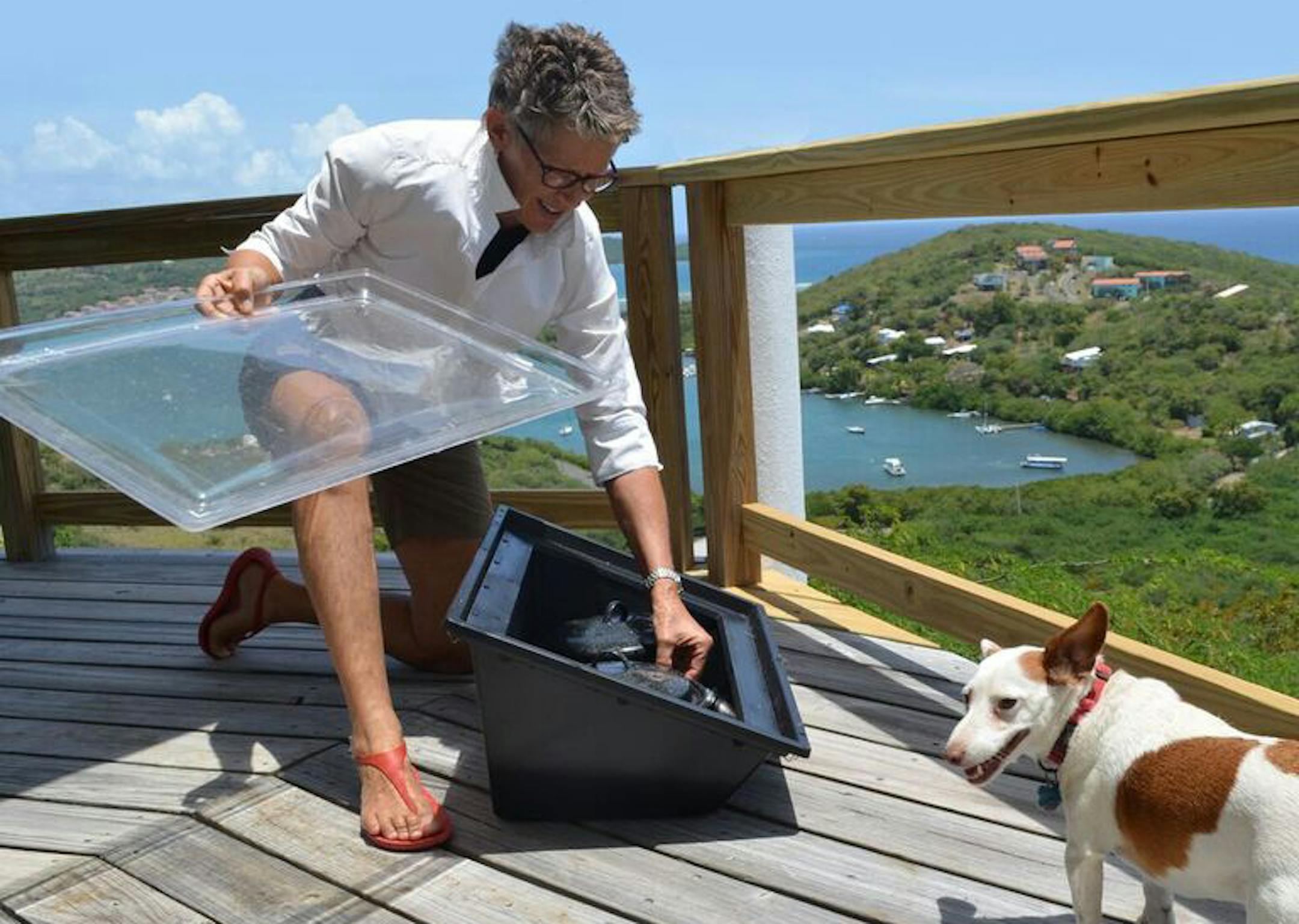 Solavore CEO and majority owner Anne Patterson cooked with the Solavore oven in 2015. Photo by Douglas Lang