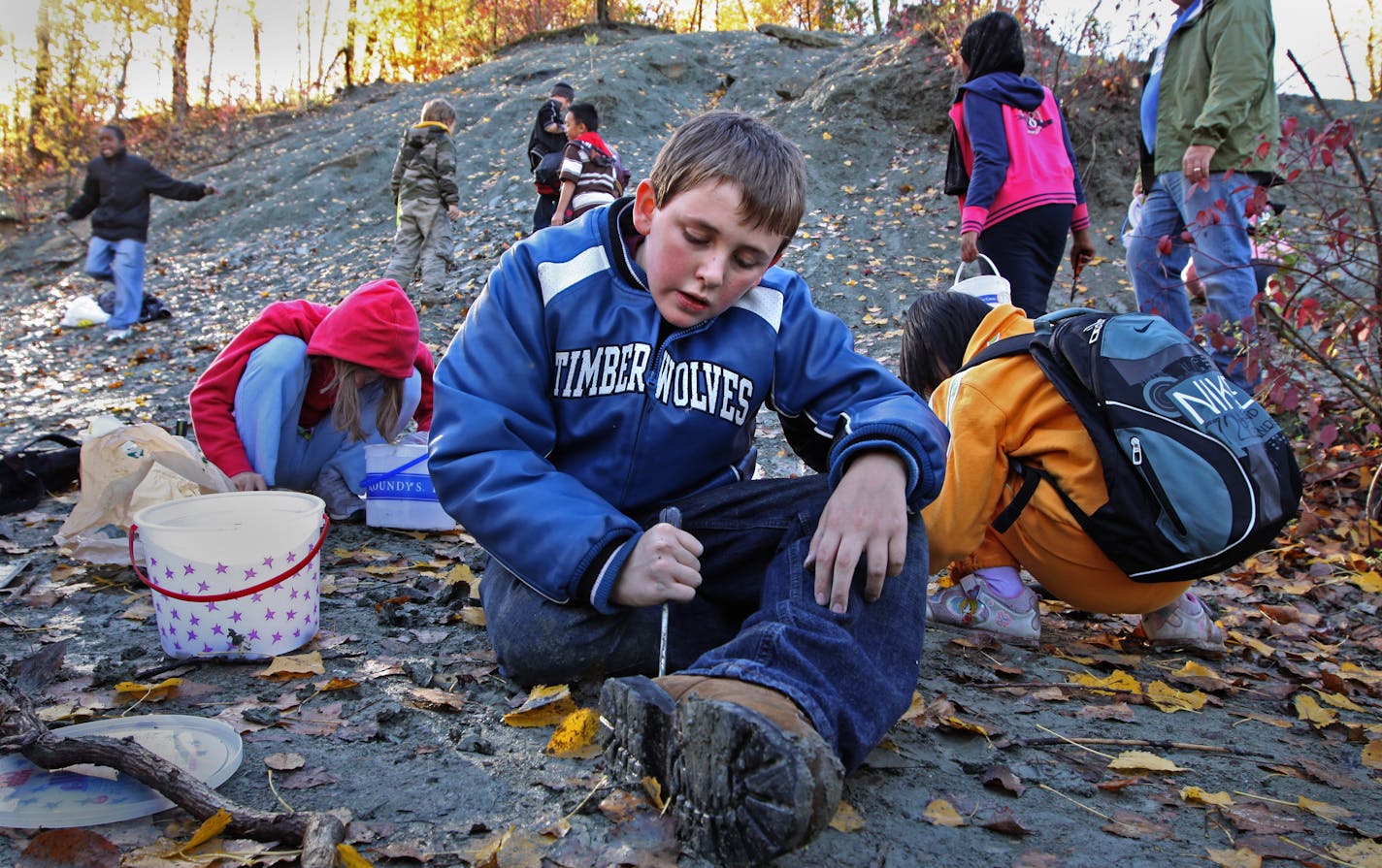 St. Paul Expo Elementary School student Kevin Wooldridge dug for sea fossils during a field trip to the Lillydale/Cherokee Regional Park clay pit along with fellow 5th and 6th grade students. The students placed their finds in plastic buckets and would later wash the stones and rocks to reveal any fossils.