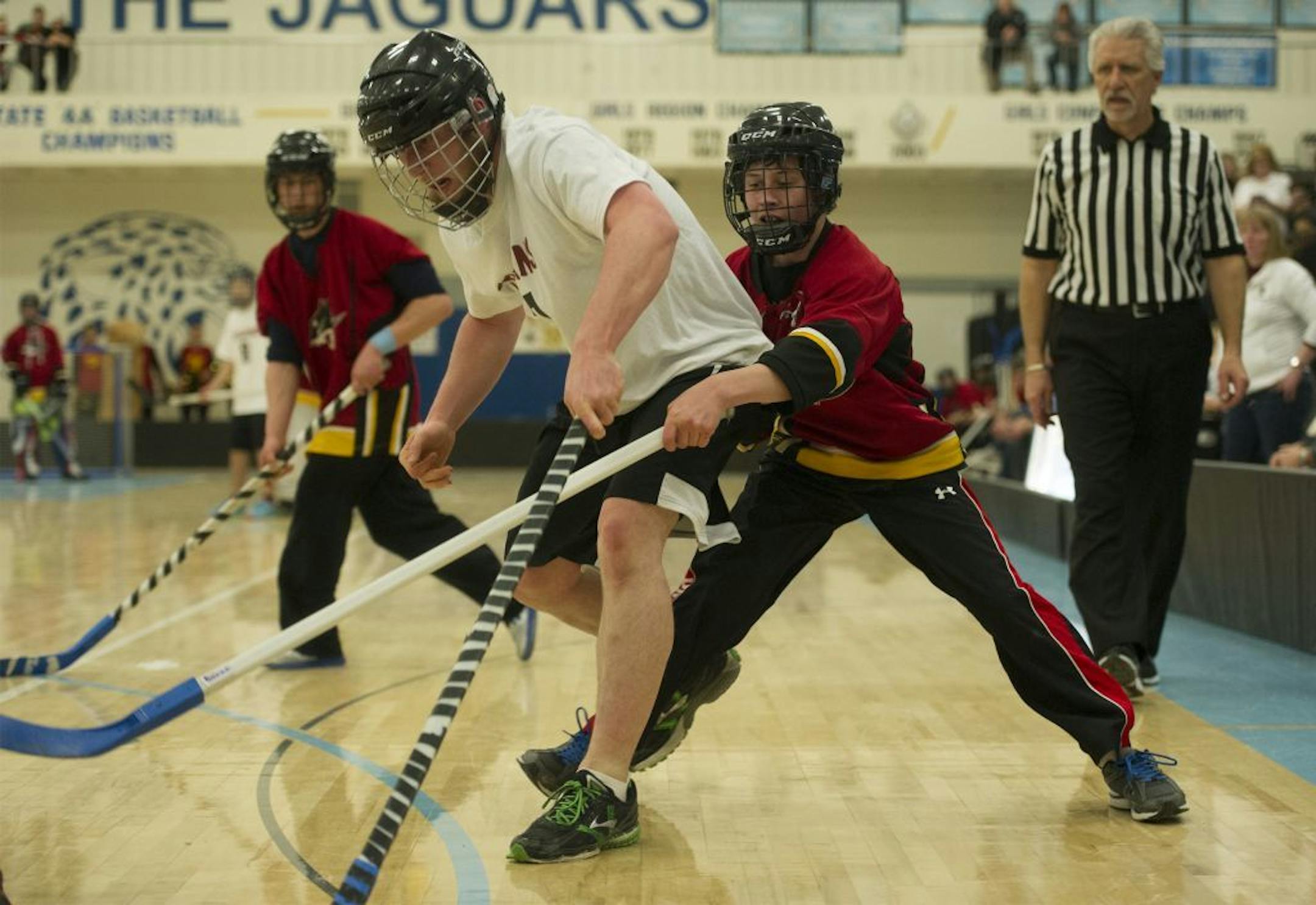 The Blazing Cats' Micahel Burns knocks the puck away from Matthew Schoenbauer during the CI Adapted Floor Hockey State Championship game, March 15, 2014 at Bloomington Jefferson High School.