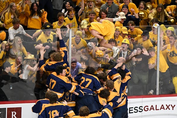 A fan climbs over the boards to celebrate with Mahtomedi after their double overtime win against Warroad Saturday, March 11, 2023 at the Xcel Energy C