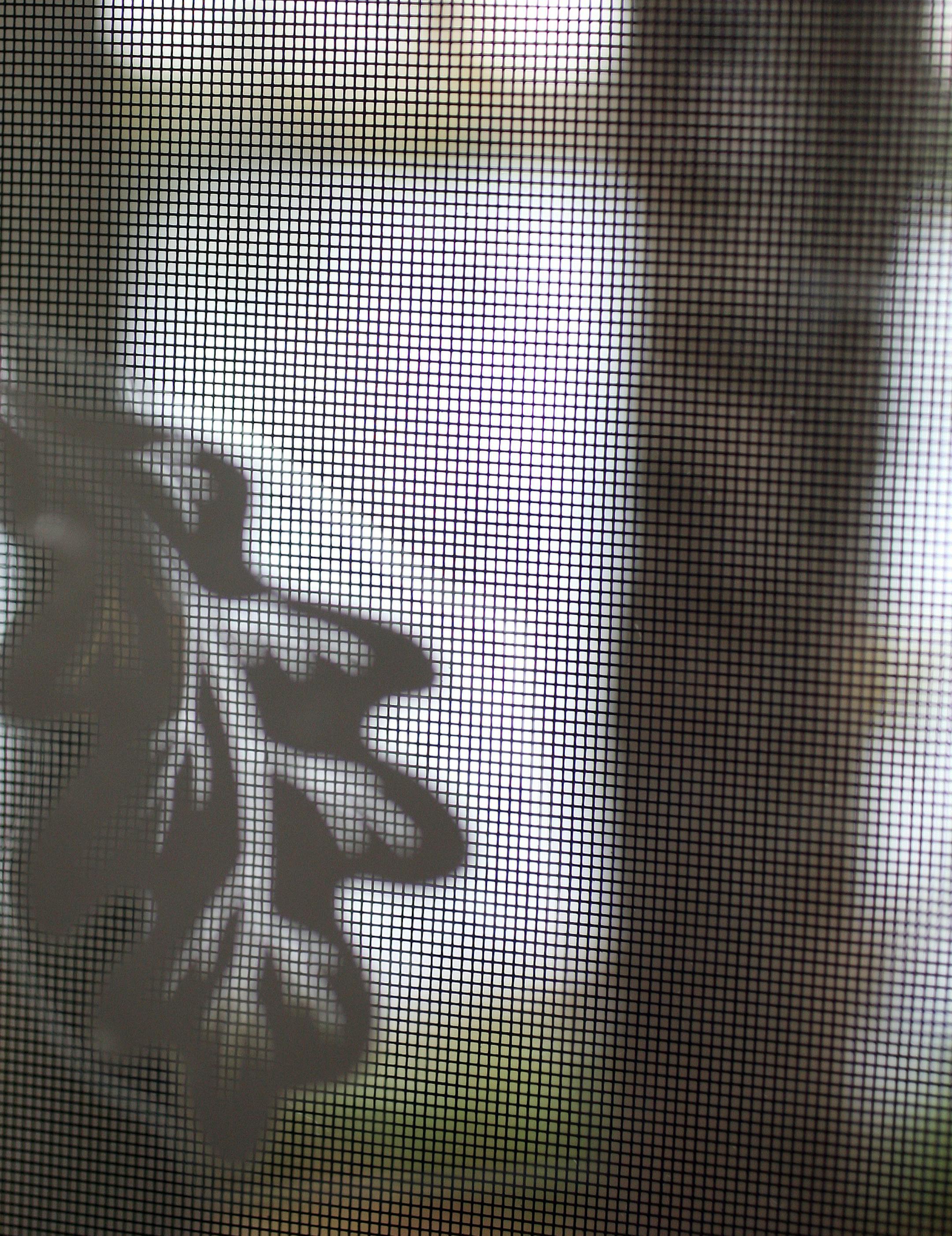 The screen and decals are part of the changes made. It‚Äôs all about "birdsafe architecture," and designing a home to reduce bird fatalities. Bill Lutz and Julie Brophy bought their house because they loved all the glass, then started hearing "thunks" and finding dead birds. With almost a daily occurrence the couple took action and retrofitted their home with several items to help distract the birds. [ TOM WALLACE ‚Ä¢ twallace@startribune.com _ Assignment #20020