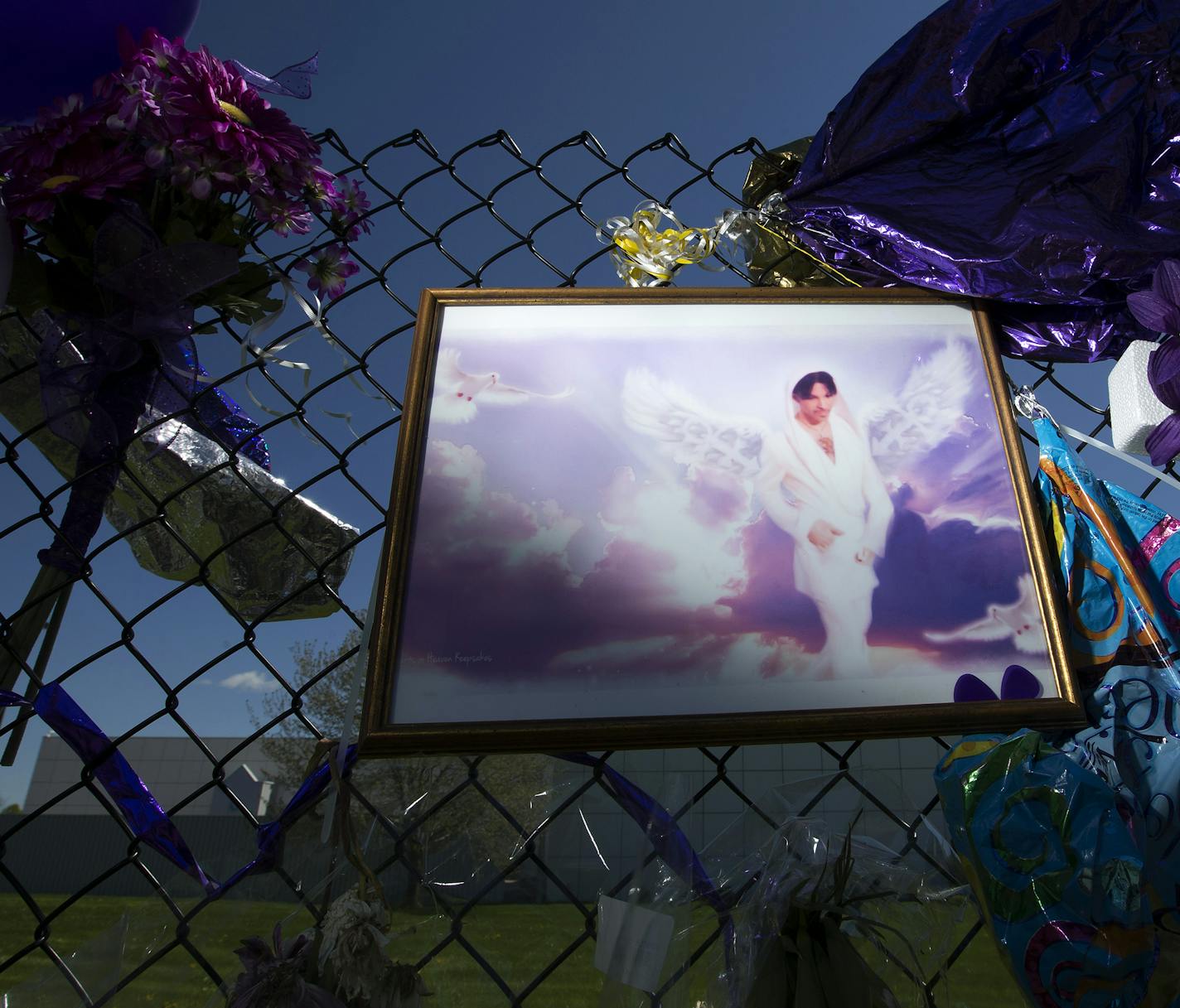 An illustration of Prince hangs on the fence at Paisley Park in Chanhassen. Investigators continue to piece together the cause and circumstances of the singer's April 21 death.