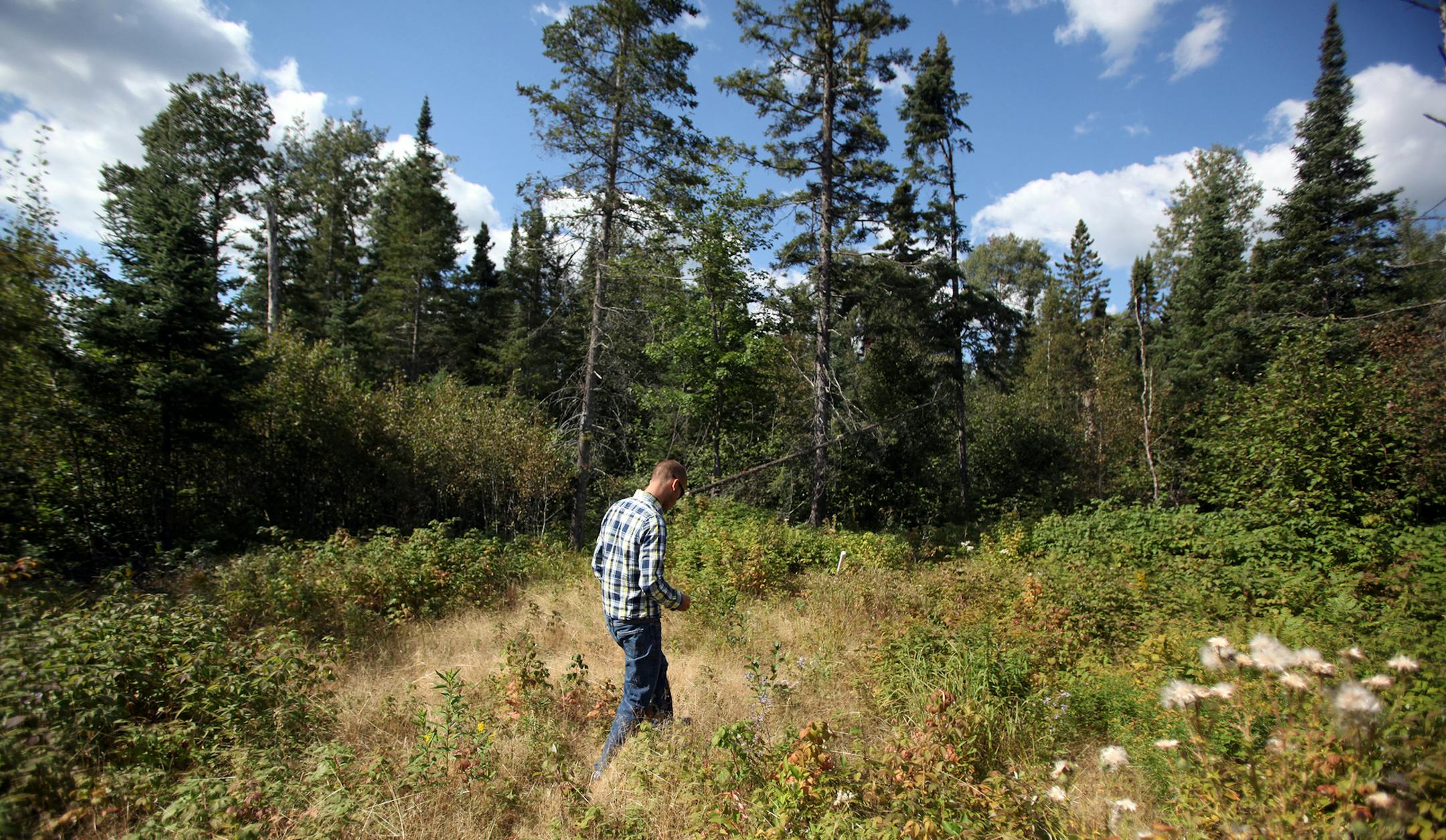 David Hughes of Polymet walked through the site where the Polymet open pit mine will likely be on Wednesday, September 7, 2011, in Hoyt Lakes, Minn. (RENEE JONES SCHNEIDER/ reneejones@startribune.com) David Hughes CQ ORG XMIT: MIN2015090116023835