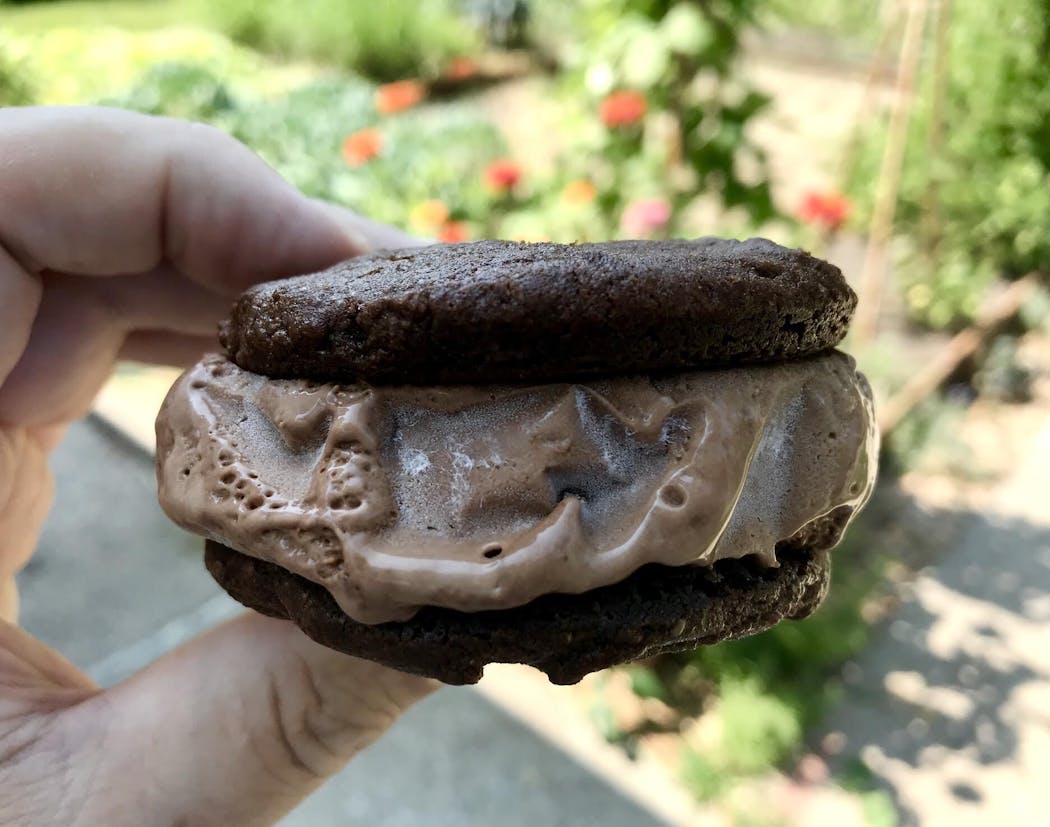 Ice cream sandwich from Dancing Bear Chocolate in Minneapolis. Photo by Rick Nelson