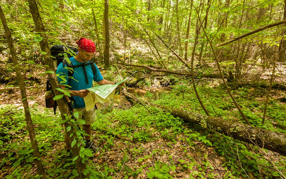 A hiker in a forest pauses to consult a map.