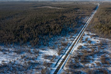 "Experts regard the 300-square-mile Sax-Zim Bog in northern Minnesota as one of the world’s most interesting natural places," Aaron Brown writes.