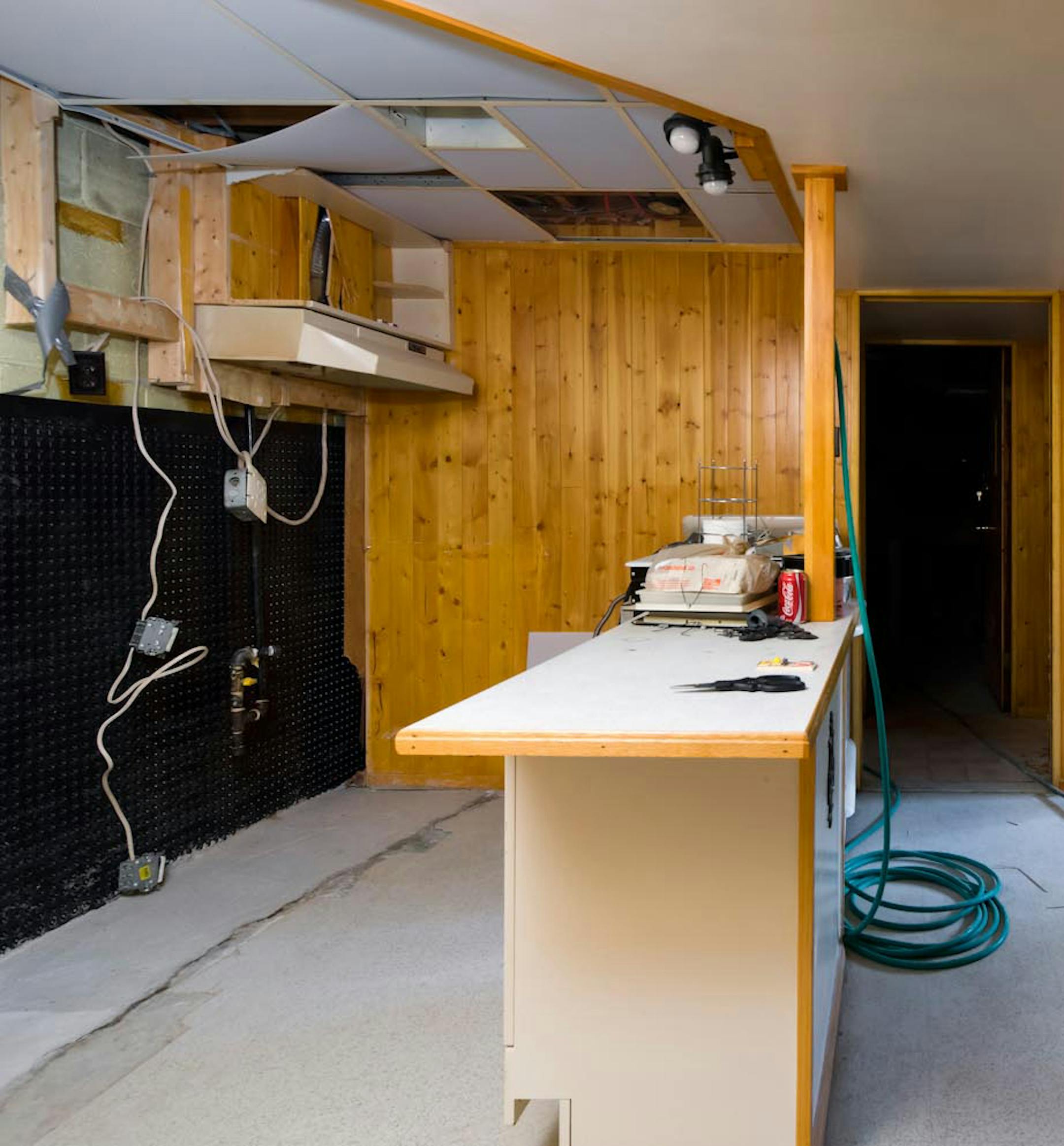 SH13I117CANDICETELLSALL Sept. 16, 2013 -- Dr. Nick's waterlogged basement was dried out and needed resuscitating. (SHNS photo courtesy HGTV) (Newscom TagID: shnsphotos147685.jpg) [Photo via Newscom]