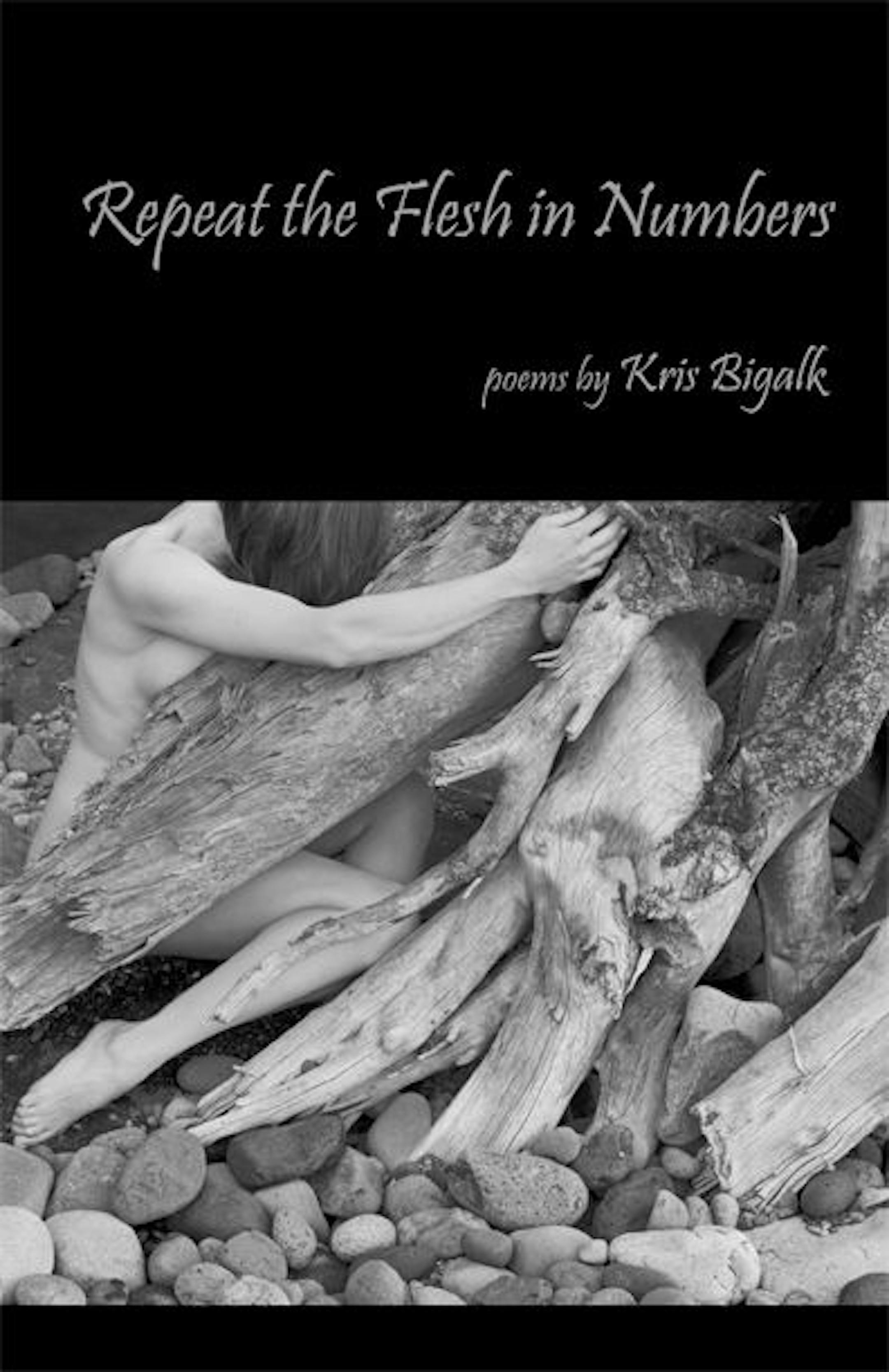 Repeat the Flesh in Numbers, by Kris Bigalk