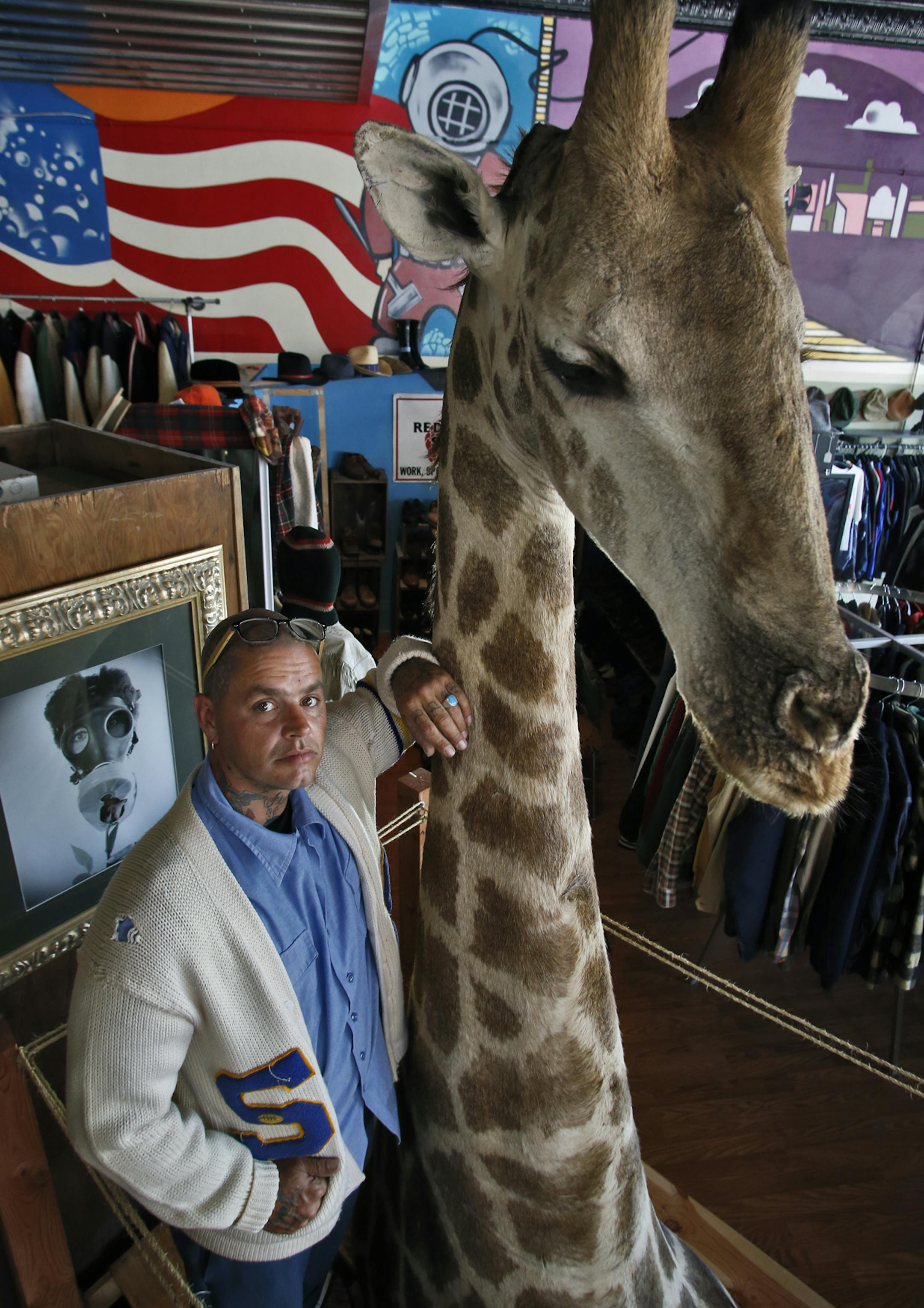 A growing number of Minnesota men are spending an increasing amount of time at garage sales and antique shops in an activity referred to as "mantiquing". The Bearded Mermaid shop in St. Paul offers many items that appeal to men's collective interests. Owner Nick Soderstrom stands next to an 8-foot-tall taxidermied giraffe selling for $8,500 while modeling a college letter sweater selling for $80. (MARLIN LEVISON/STARTRIBUNE(mlevison@startribune.com)