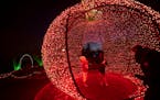 Lucy Carlson, 6, and her brother Wes Carlson, 6, of Hanover, were in awe as they walk through a giant apple of lights in the Winter Lights display at 