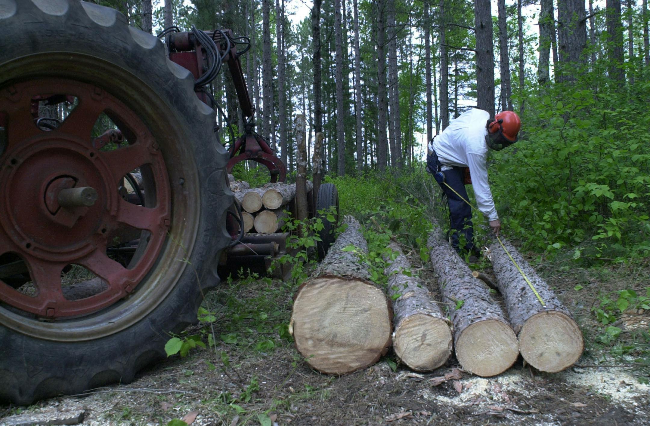 Archived photo taken by Kyndell Harkness in 2001 at a DNR Forest Summit in Grand Rapids.