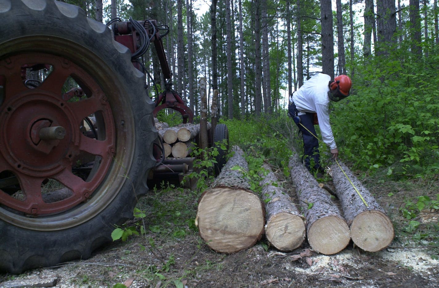 Archived photo taken by Kyndell Harkness in 2001 at a DNR Forest Summit in Grand Rapids.