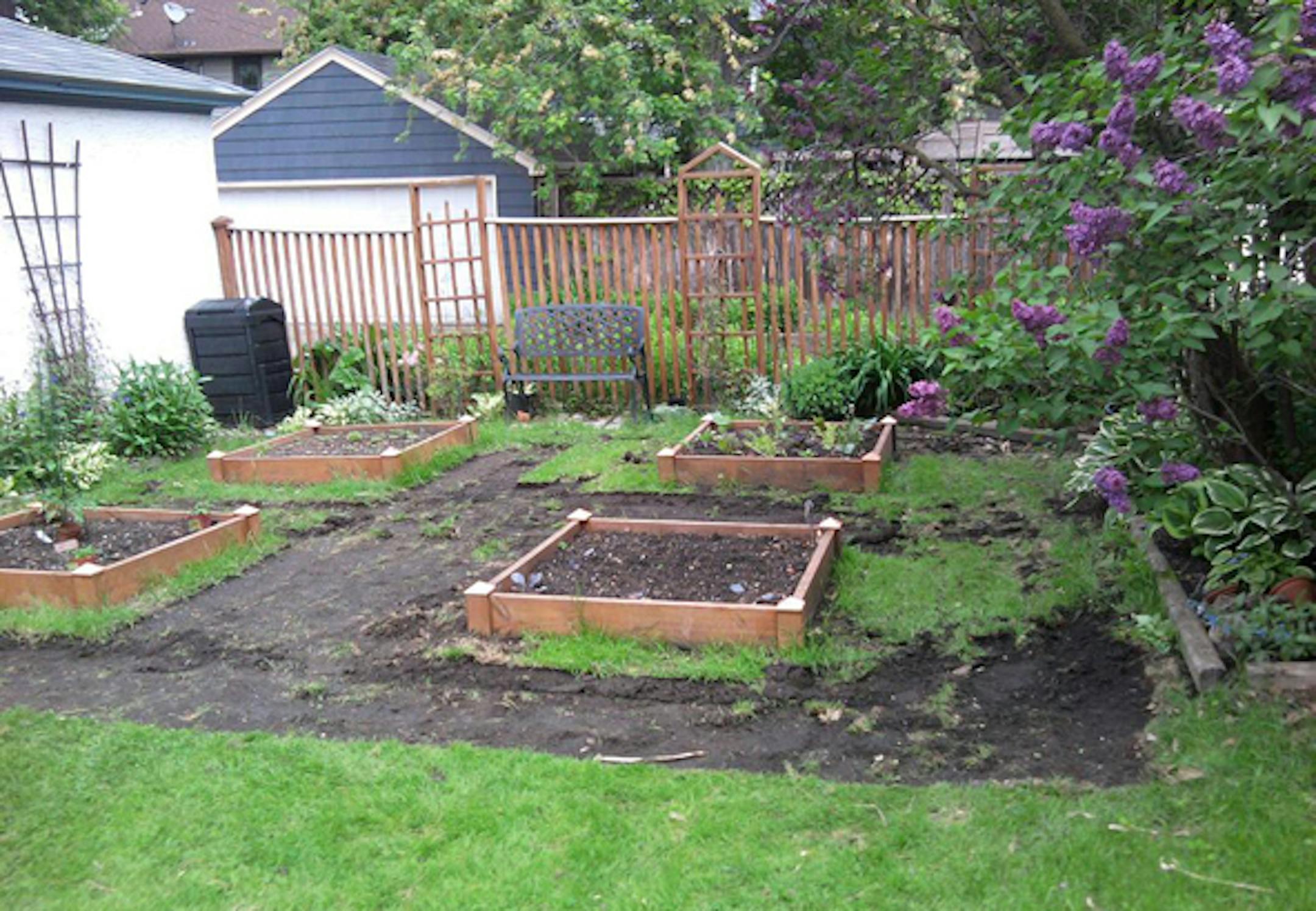 Before: And then there was just bare dirt