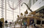 Image of dinosaurs at the Science Museum of Minnesota
