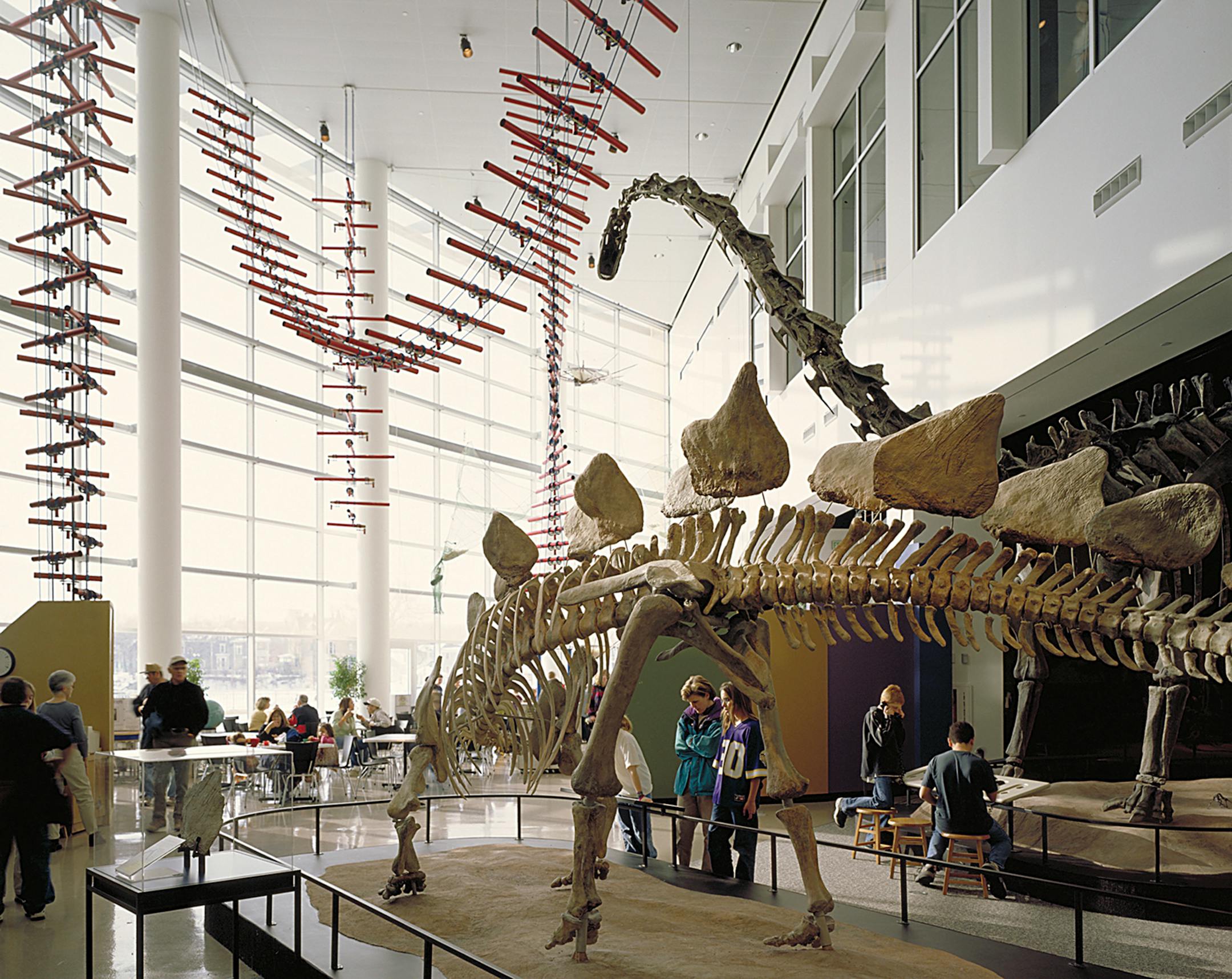 Image of dinosaurs at the Science Museum of Minnesota