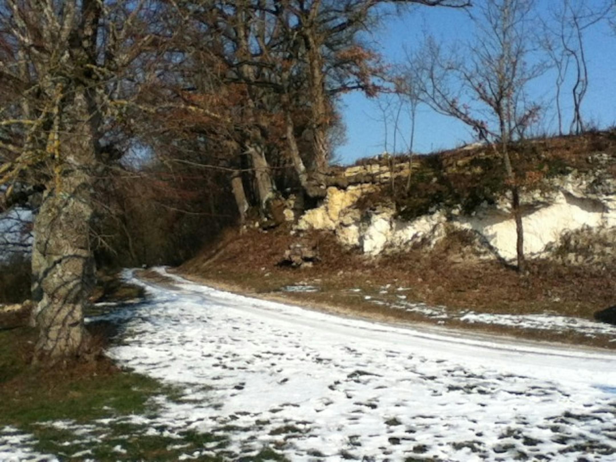 The single lane roads leading to the chateau.