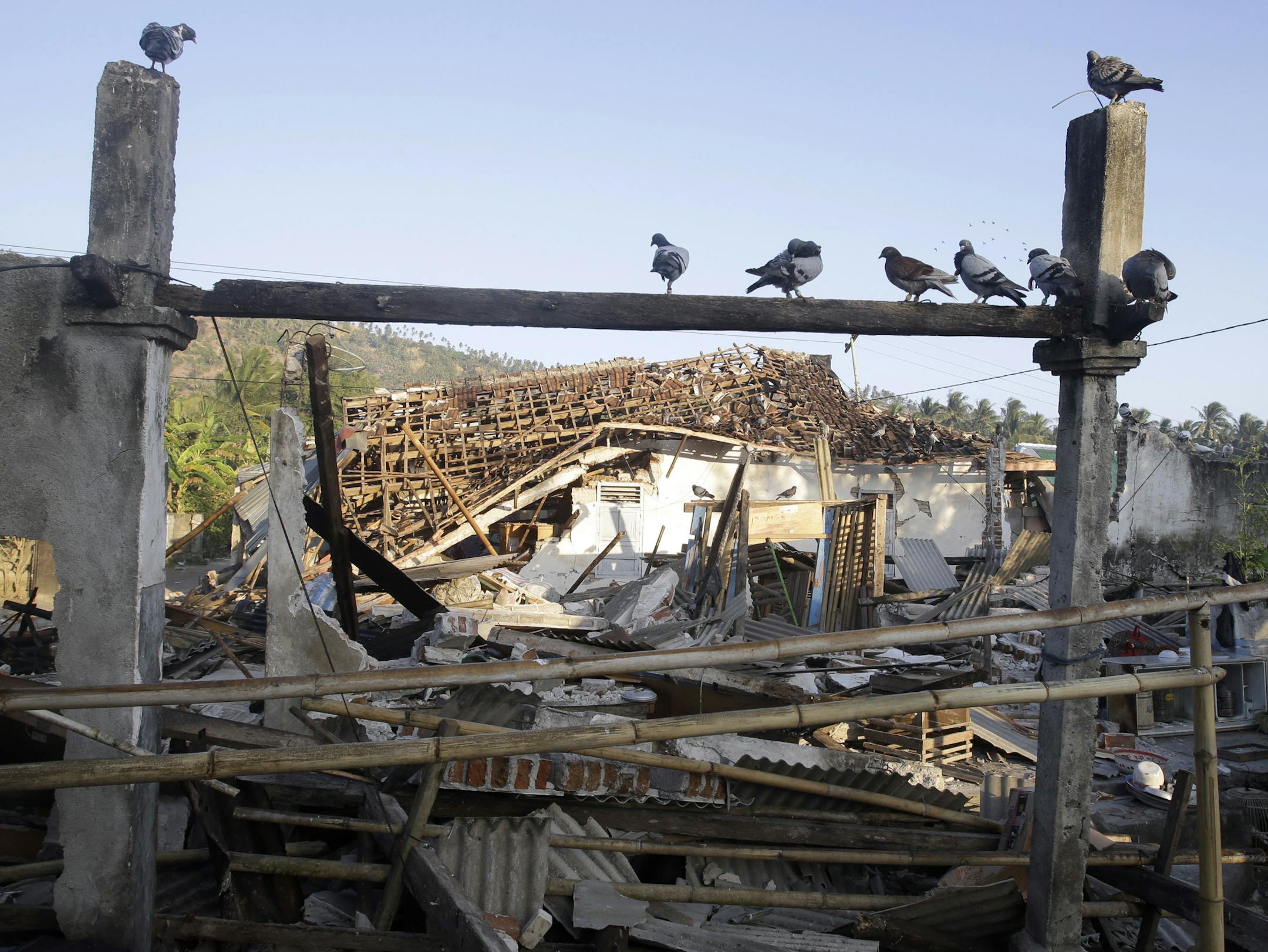 Birds sit above earthquake-damaged homes in North Lombok, Indonesia, Thursday, Aug. 9, 2018. The north of Lombok was devastated by the powerful quake that struck Sunday night, damaging thousands of buildings and killing a large number of people. (AP Photo/Firdia Lisnawati)