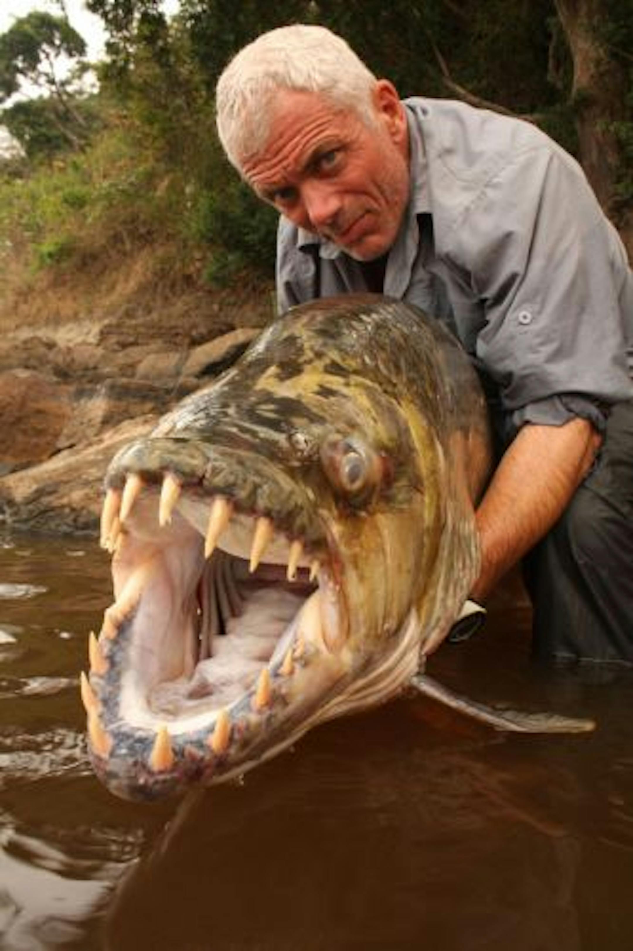 Jeremy Wade with a Congo Tigerfish.