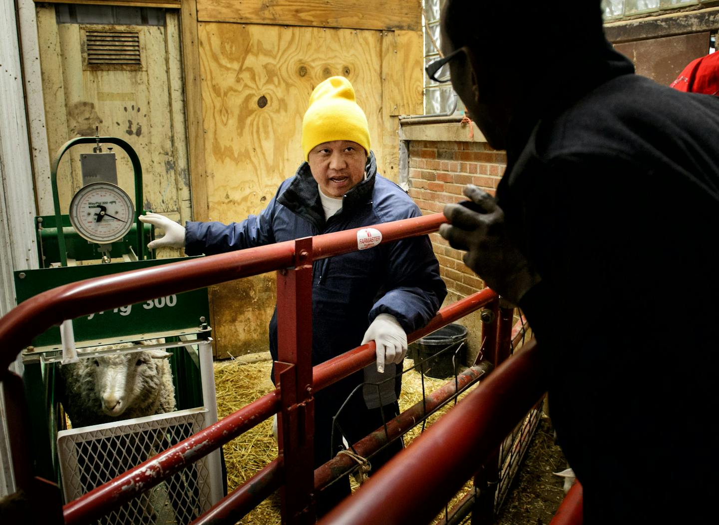 Pao Yang sees a mix of immigrants at his South St. Paul butcher shop. The shop, Long Cheng, used to serve an exclusively Hmong clientele.