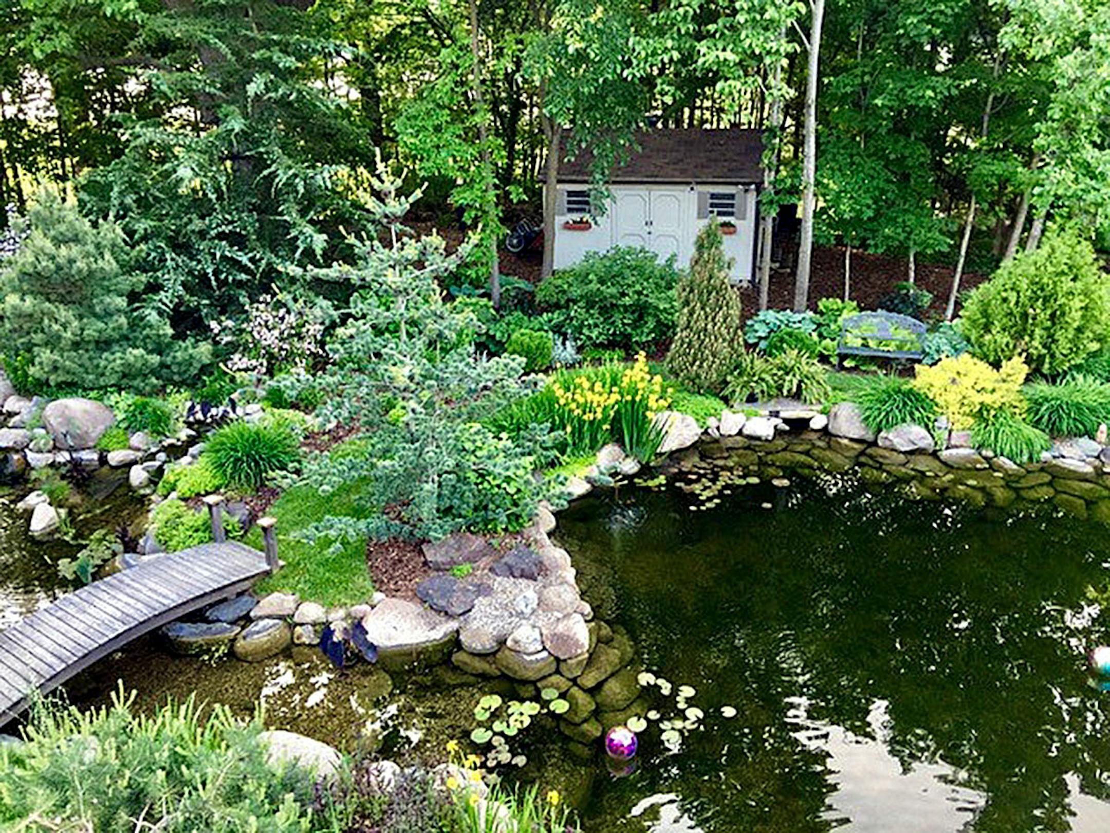 The Koenigs also have a large koi pond.