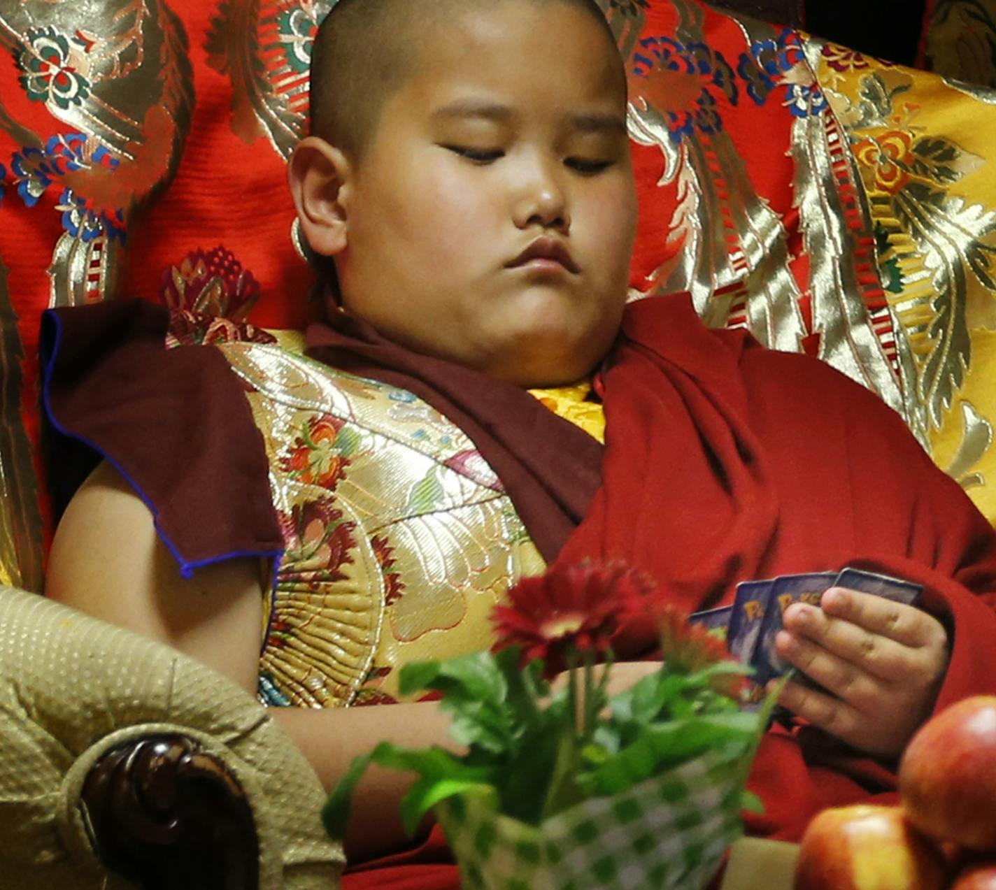 Jalue checked out his Pokemon cards during a recent religious ceremony at the Tibetan American Foundation of Minnesota held in his honor. The cards are part of a reward system created by his father. For every book of Buddhist scriptures he memorizes, Jalue gets one new card.
See more pictures at startribune.com/variety