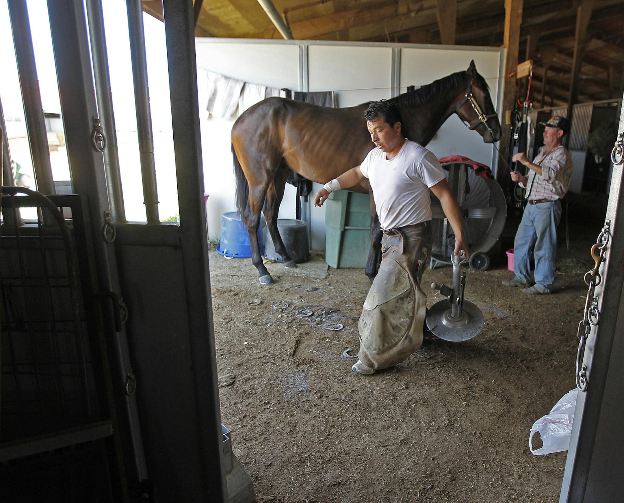Wally Reyes fitted racing horse "Offers Are Cheap," at Canterbury Park, Wednesday, July 3, 2013 in Shakopee, MN. (ELIZABETH FLORES/STAR TRIBUNE) ELIZABETH FLORES &#x2022; eflores@startribune.com
