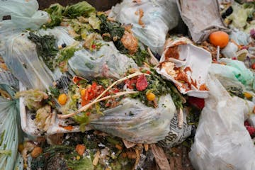 Organic items dropped off by homeowners and collection services are collected before transport at the Hennepin County Recycling Center,