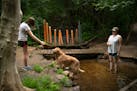 Elisabeth Storm offered her dog, Luke, another tennis ball, his favorite thing in the world, as he cooled off in a creek at Battle Creek Regional Park