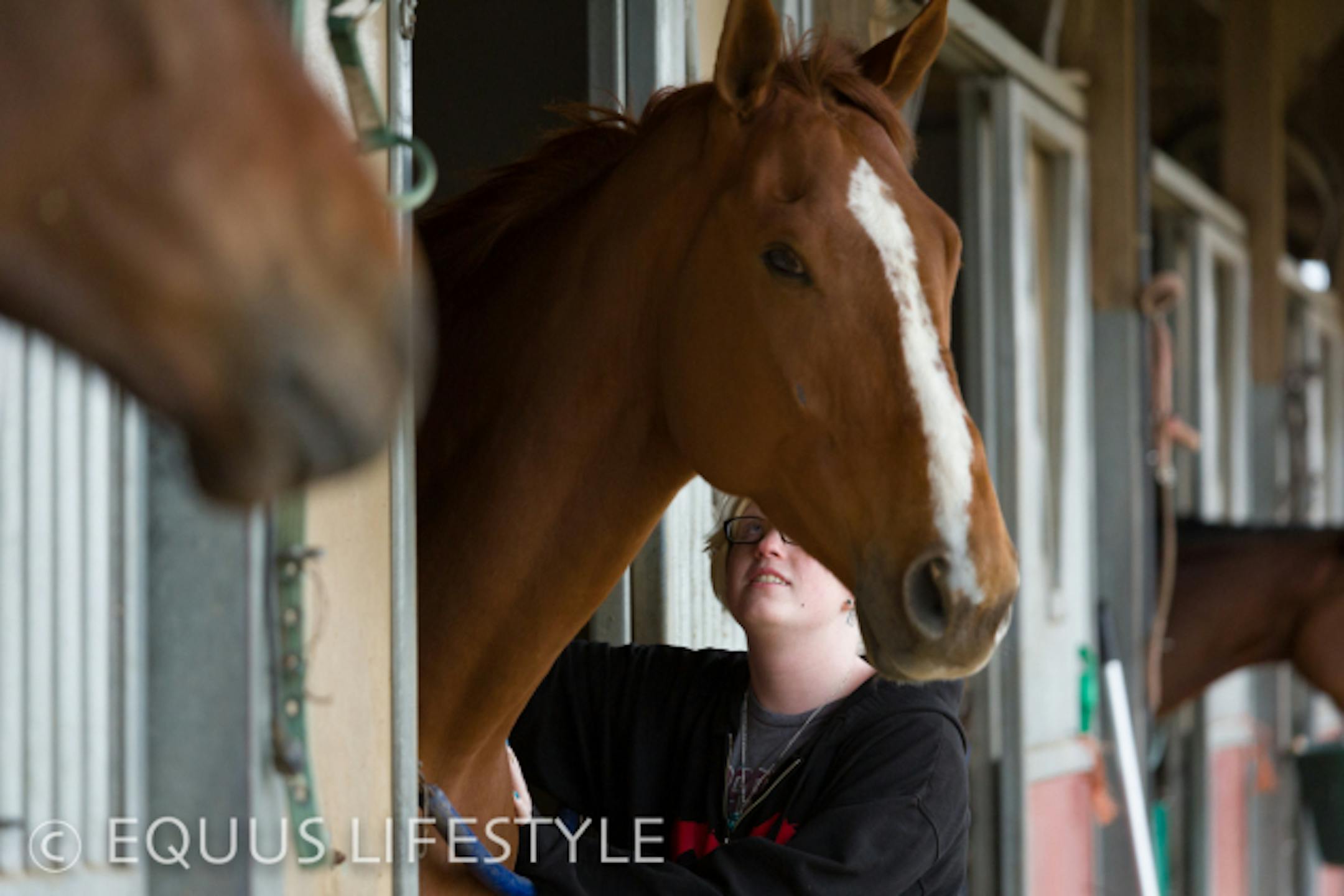Kayla calms an exited horse.