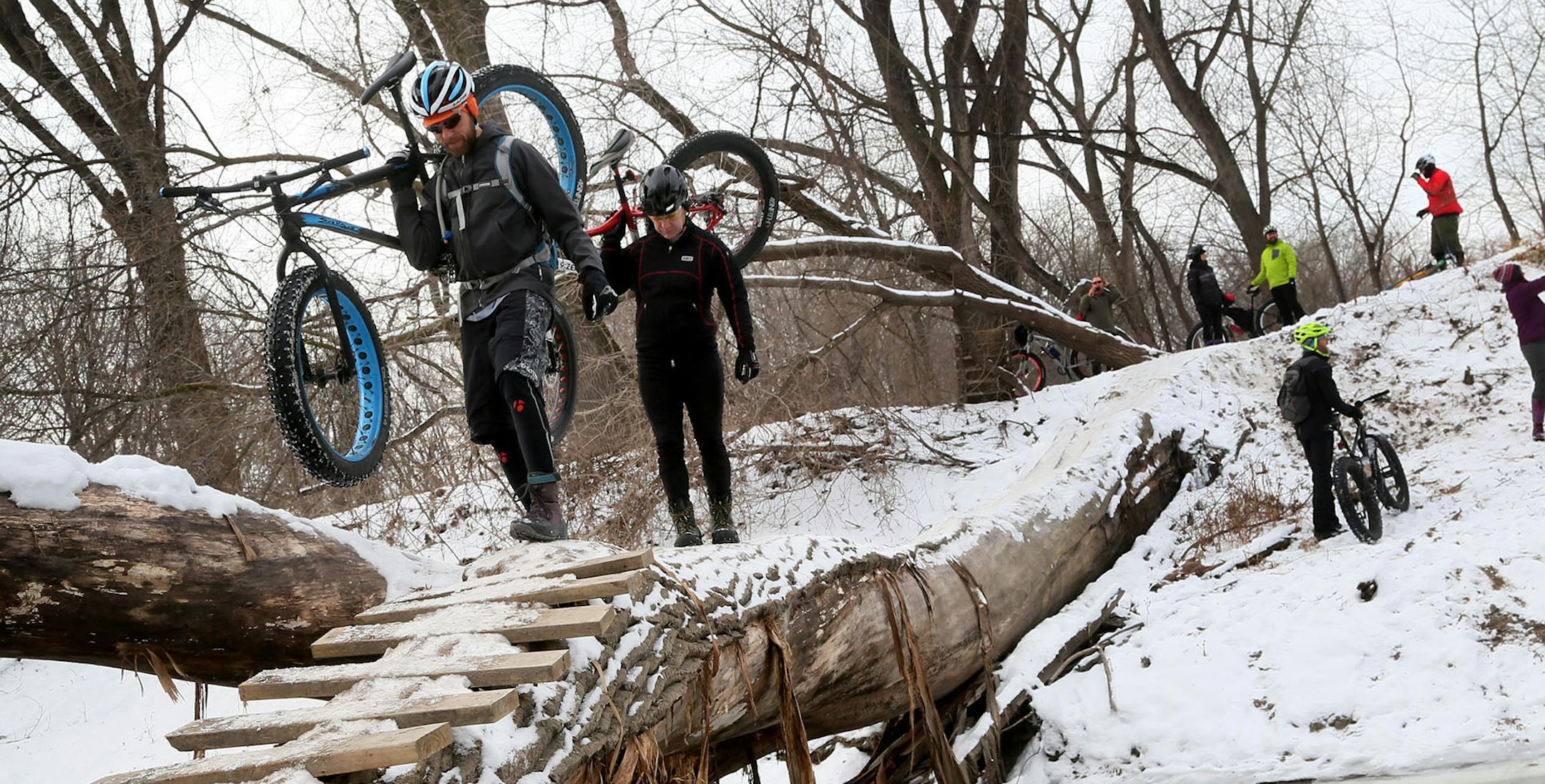 Riders on the Minnesota River Trail portage their bikes across Nine Mile Creek via a downed cottonwood tree.