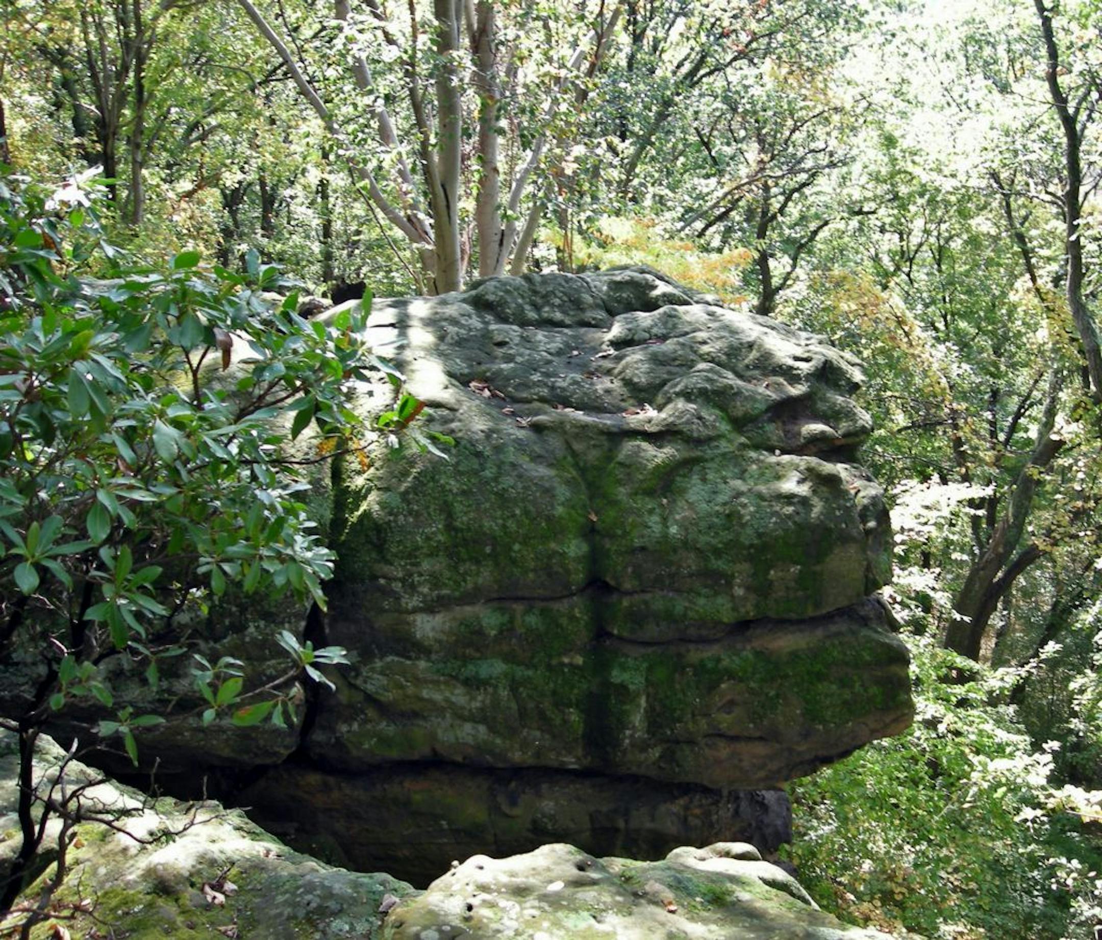 Rocky cliffs of erosion-resistant sandstone dominate at Shallenberger State Nature Preserve outside Lancaster, Ohio.