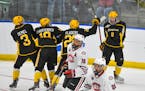 American International College players celebrated a goal during the second period of an NCAA men's Division I hockey tournament regional semifinal aga