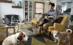 Zachary Johnson records "Soak up the Sun" by Cheryl Crow in his living room in St. Paul, as his two dogs Velma and Calvin are his live audience. ] Zac