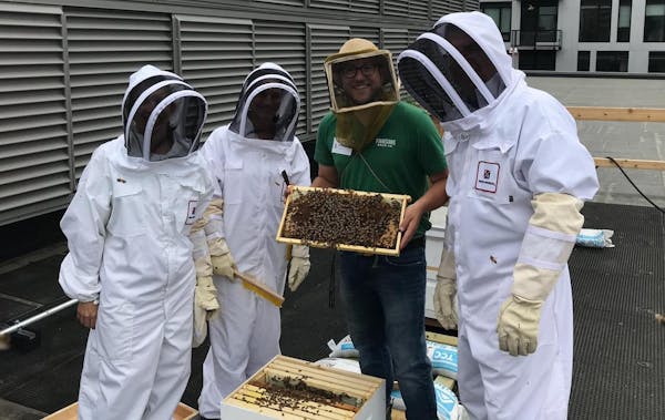 professional bee keeper Ben Grout (in center) with Kraus-Anderson employees Tonya Kostick, Amber Emly, and Mike Smoczyk. (Provided photo)