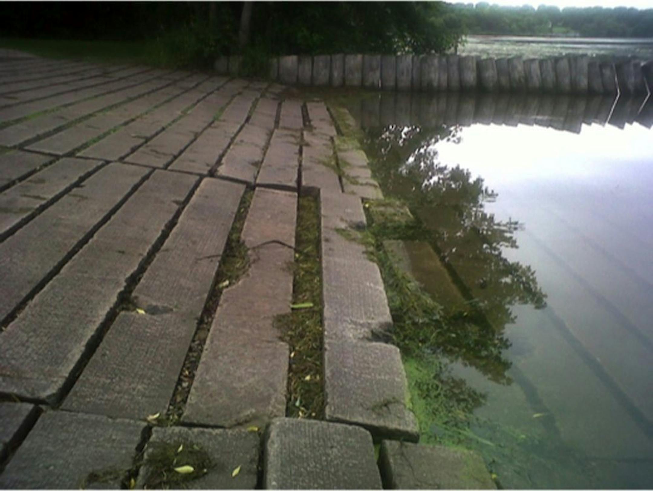 French Regional Park photo Damaged concrete, an example of the things needing repair and update at French Regional Park.