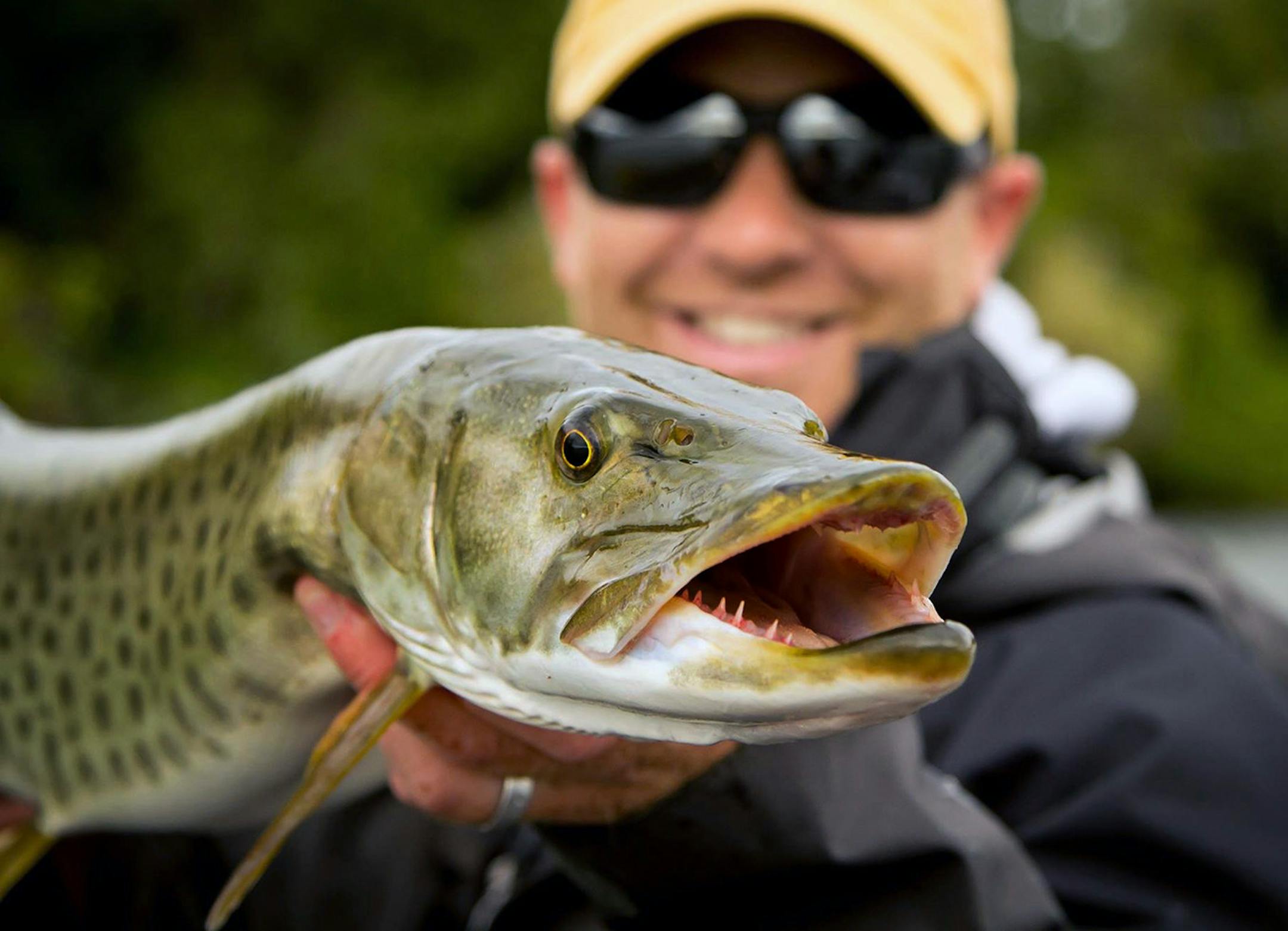 Fishing guide Travis Frank holding a Muskie.