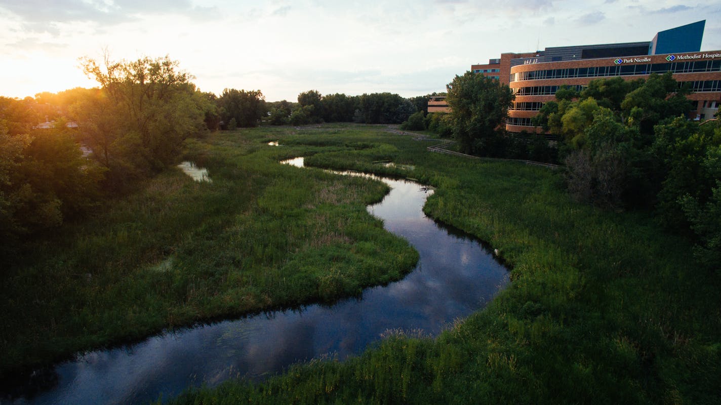 The transformation from a storm-water "ditch" to a revived Minnehaha Creek, adjacent wetlands and other "greening" of the Methodist Hospital campus in St. Louis Park over the last decade is indicative of trends in the commercial landscaping business.