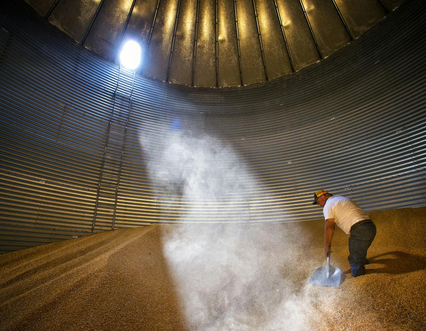 Tom Haag shoveled what remains of last seasons crop. This storage bin will soon be filled with the coming harvest. Tom Haag, president of the Minnesota Corn Growers Association travelled to China with Governor Dayton last year and expects Chinese imports of U.S. grain to increase as more Chinese gain a higher standard of living. Thursday, August 15, 2013 ] GLEN STUBBE * gstubbe@startribune.com