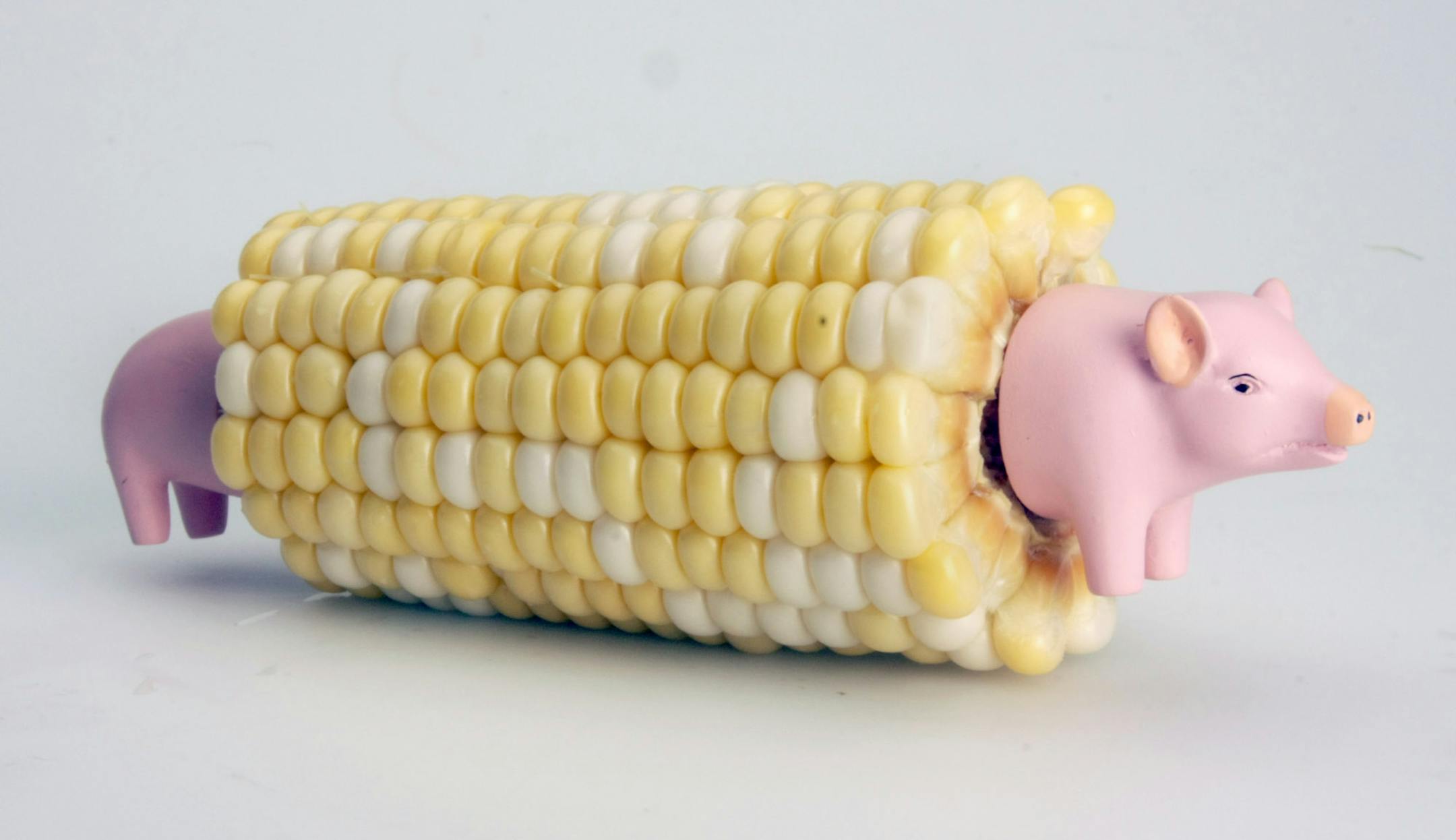 for taste section product page,- piggy corn holders